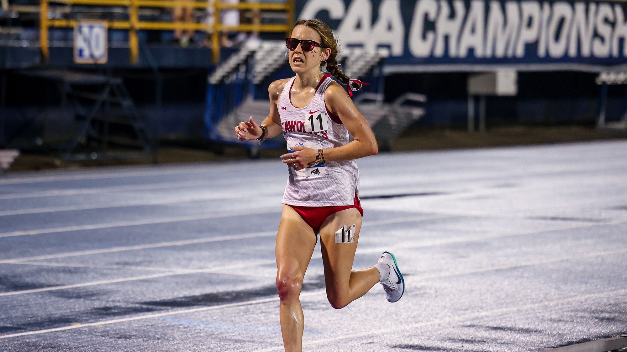 Gatto 2025 Outdoor CAAs