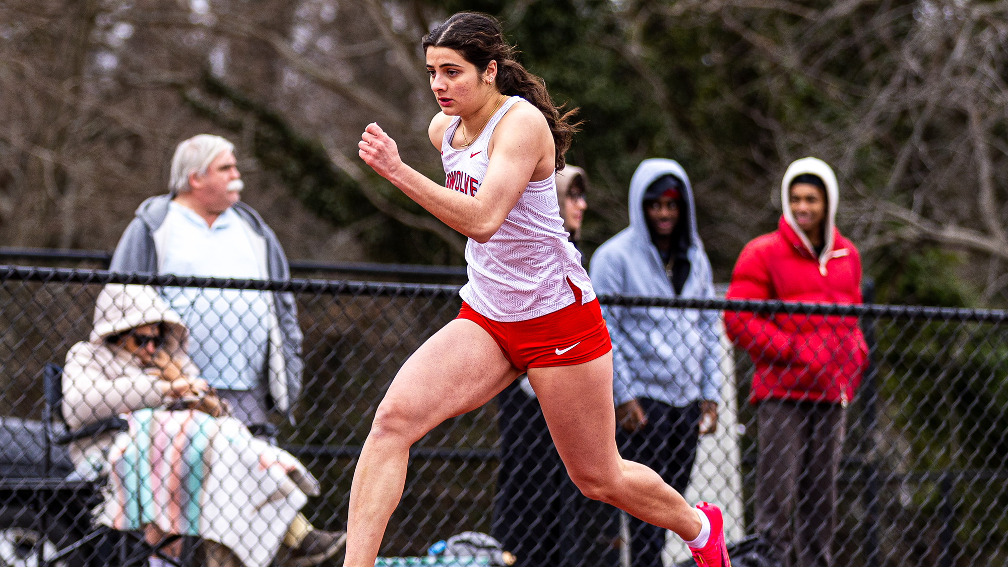 Gasparis Larry Ellis