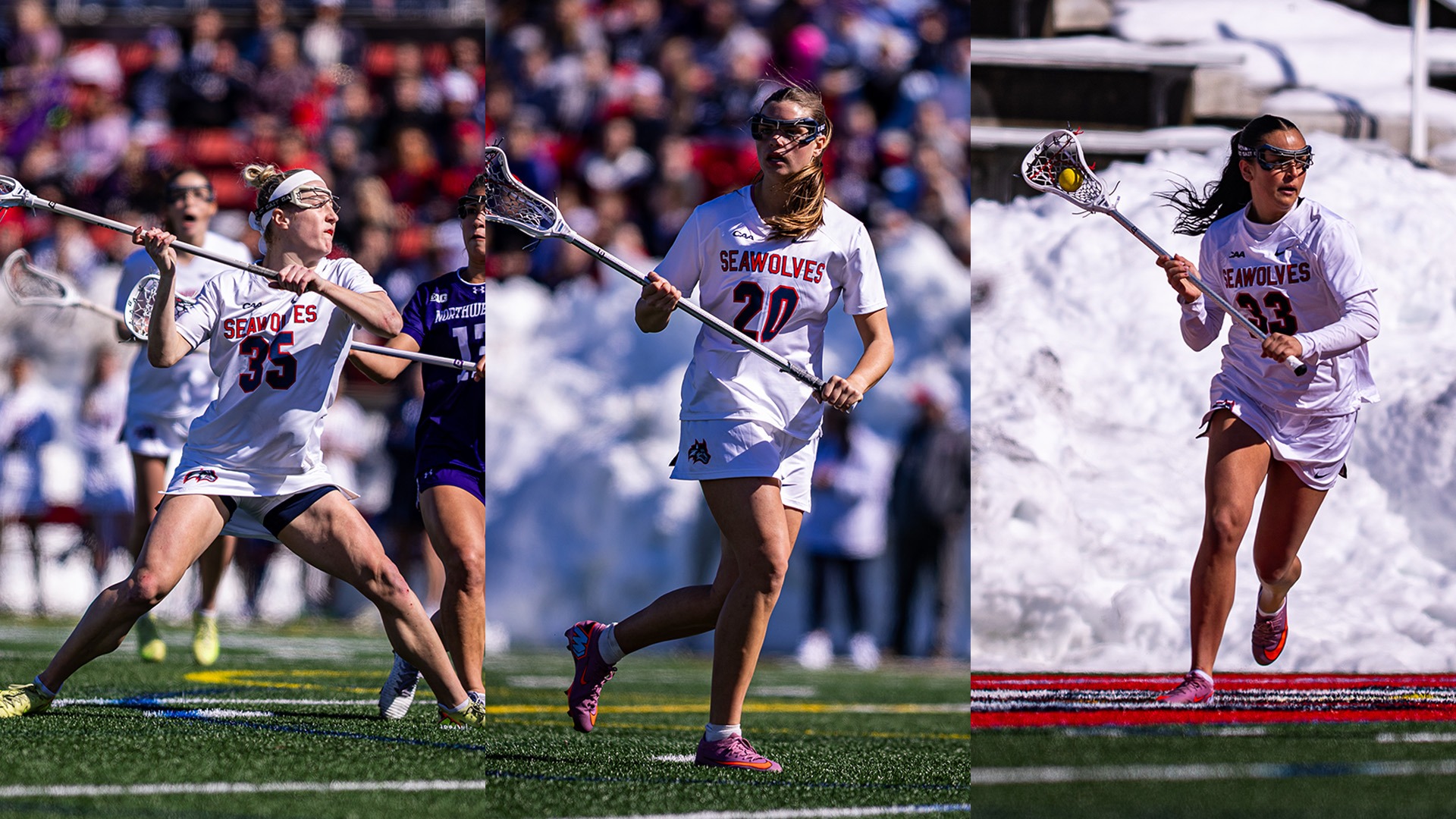 WLAX Players of the Week, March 2 - Caporuscio, Huebner, M. Altebrando
