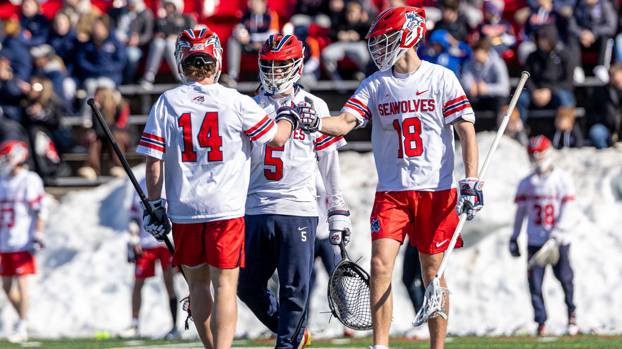 Men's Lacrosse Defensive Unit