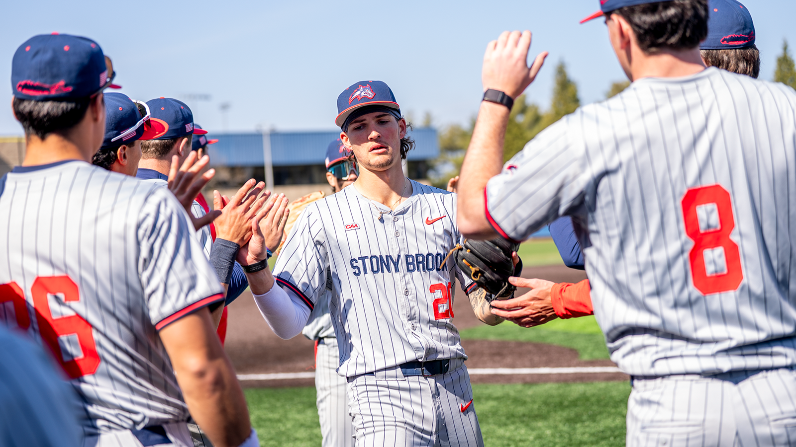 Stony Brook baseball players running off the field, and giving high fives to teammates. 