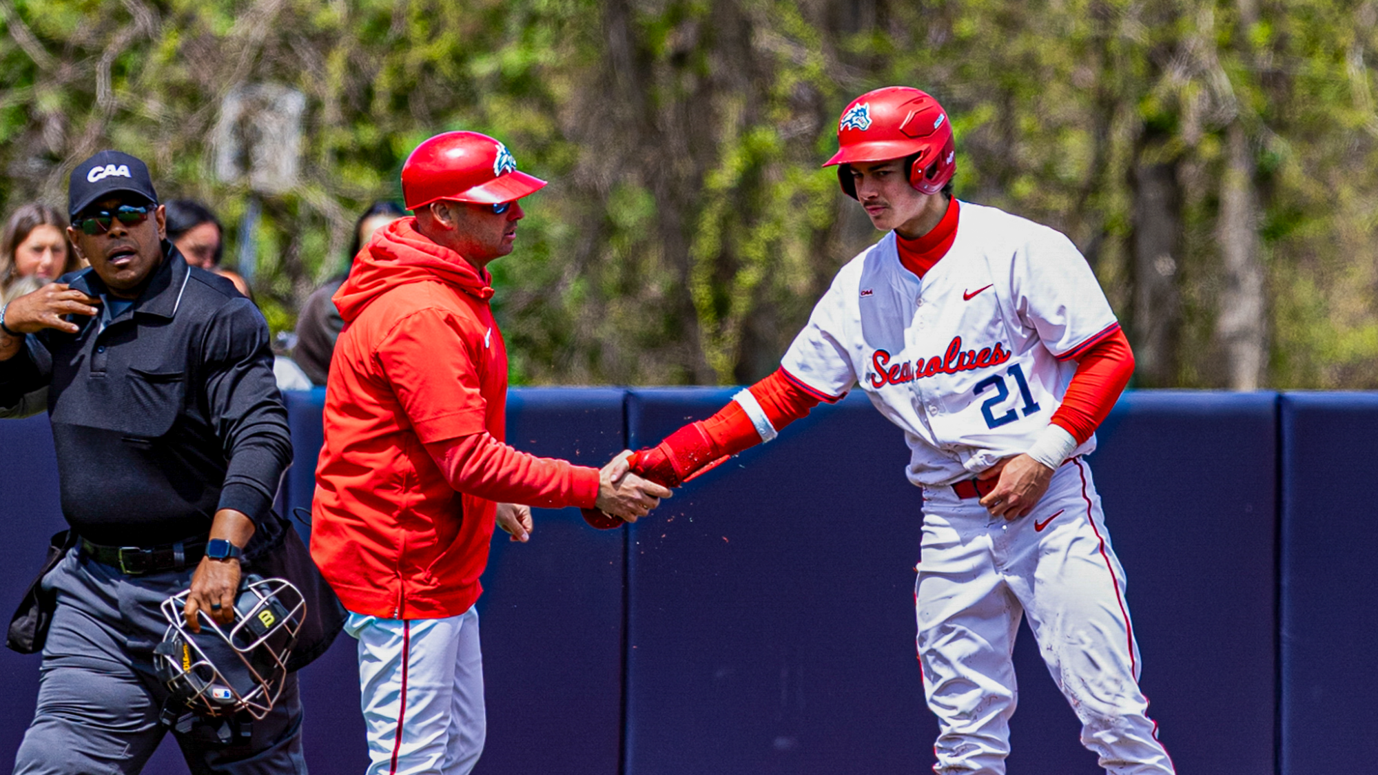 baseball summer league resized
