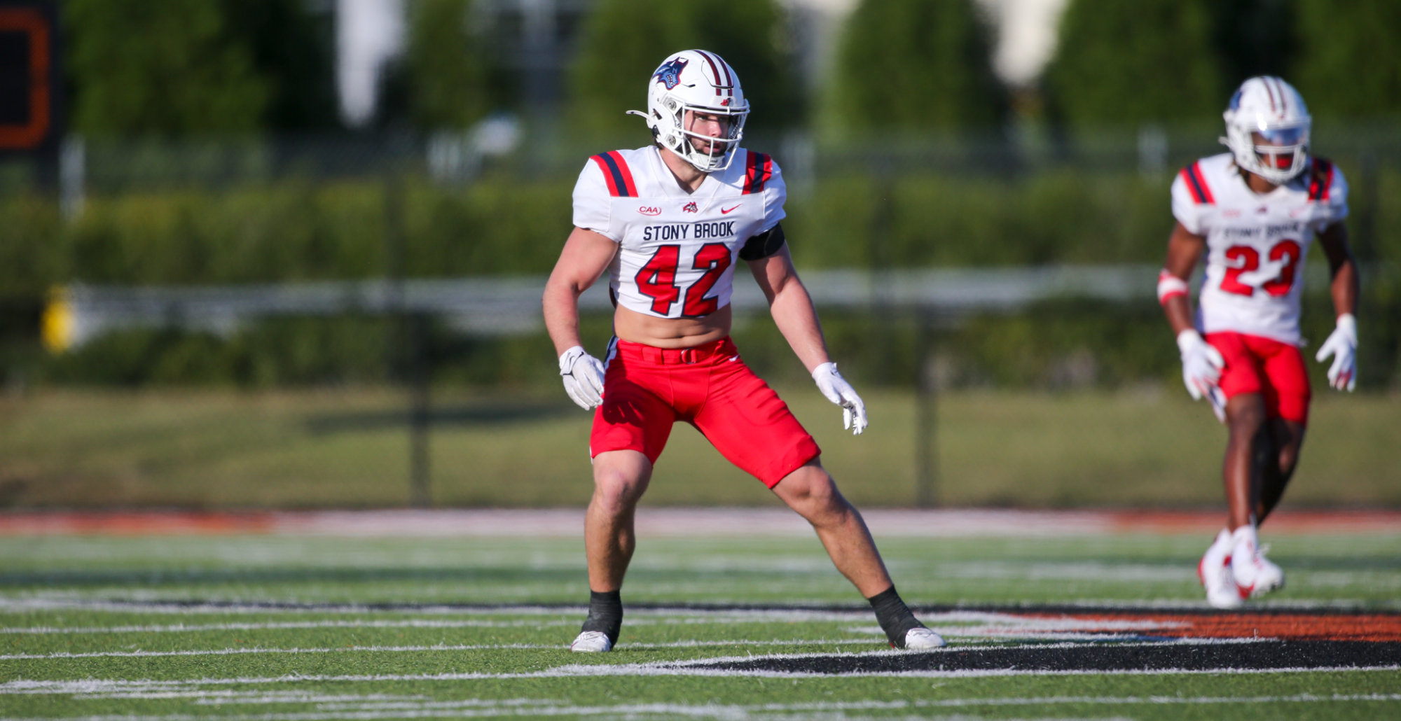Ferrelli All-American
