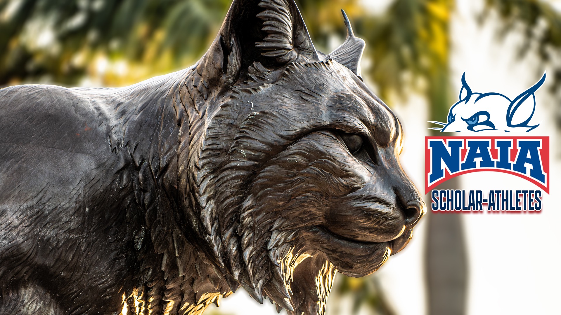 2025 Scholar Athletes