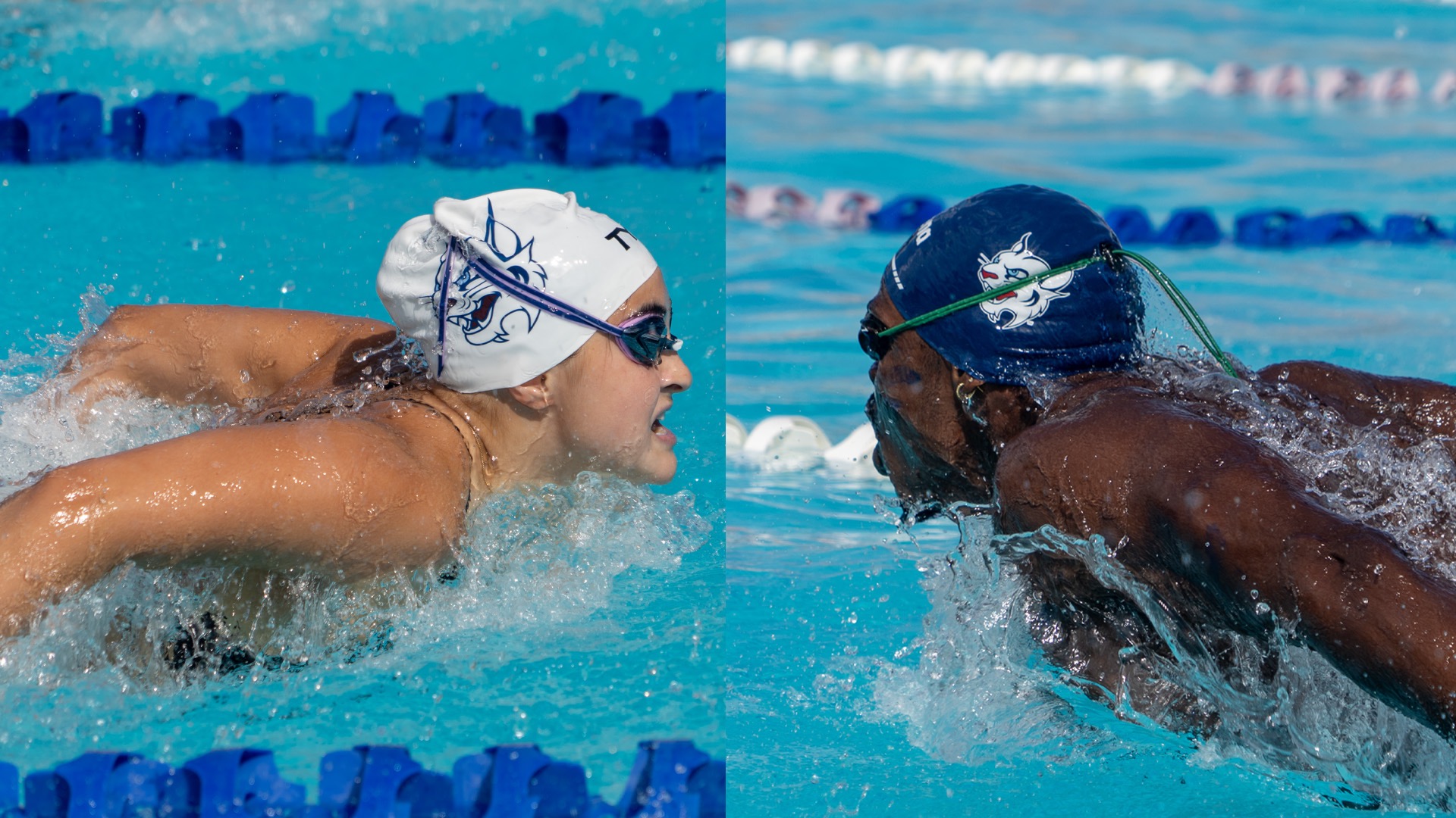 Swim Small College Cup