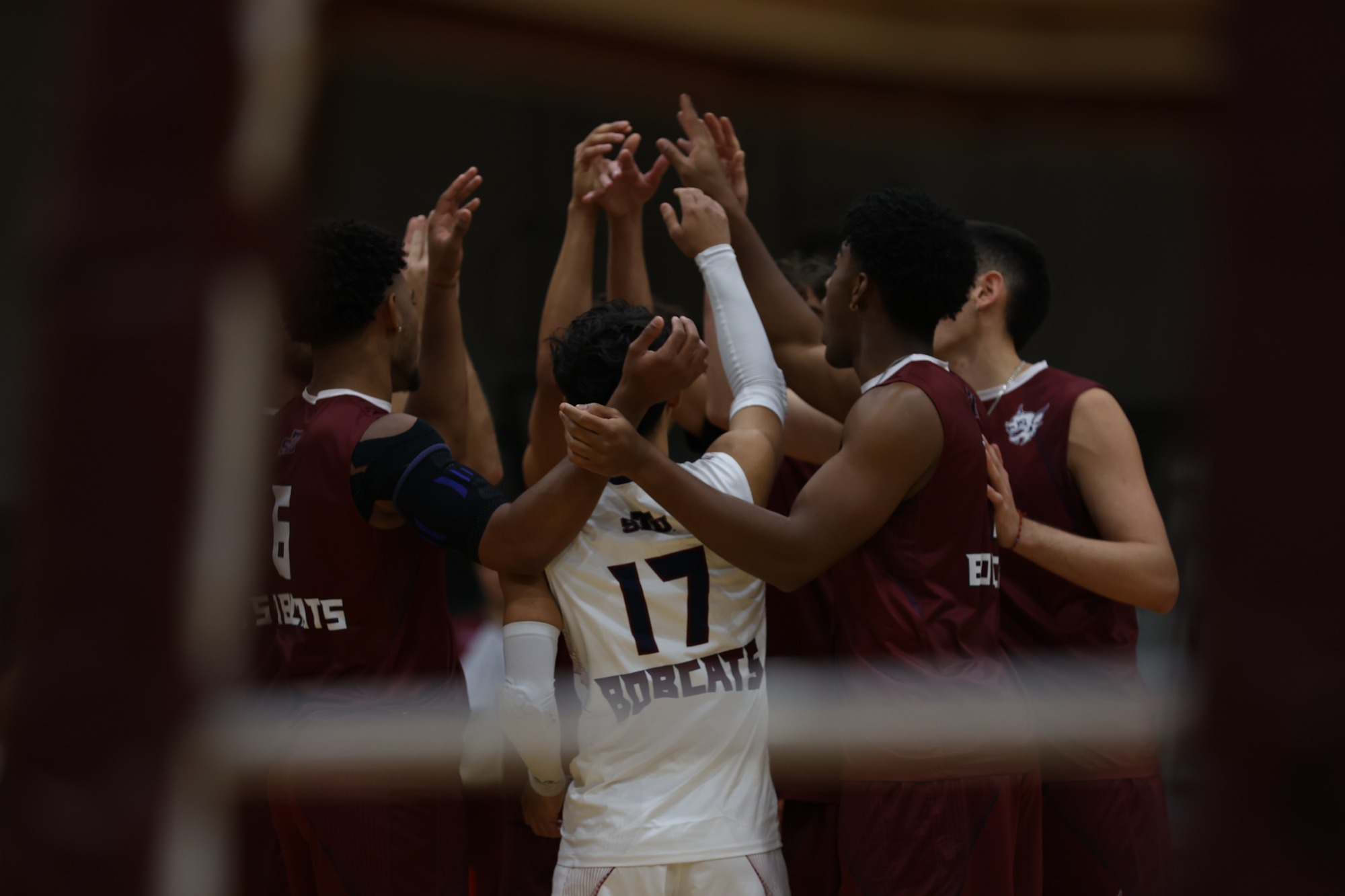 MVB at RSC/AAC Challenge