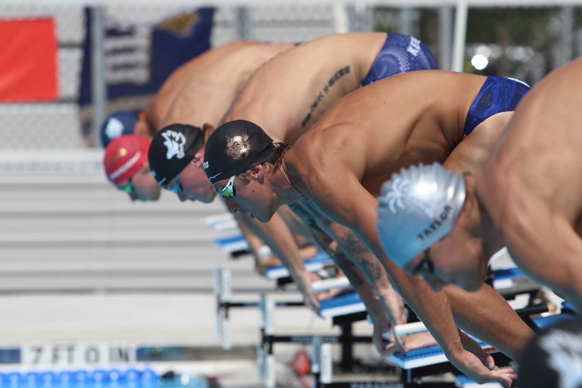MSWIM Recap at TYR Fall Classic