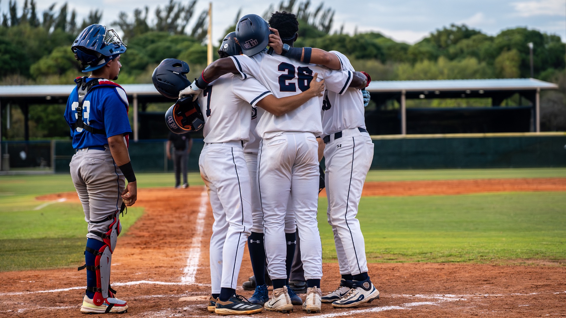 Base for Warner Series