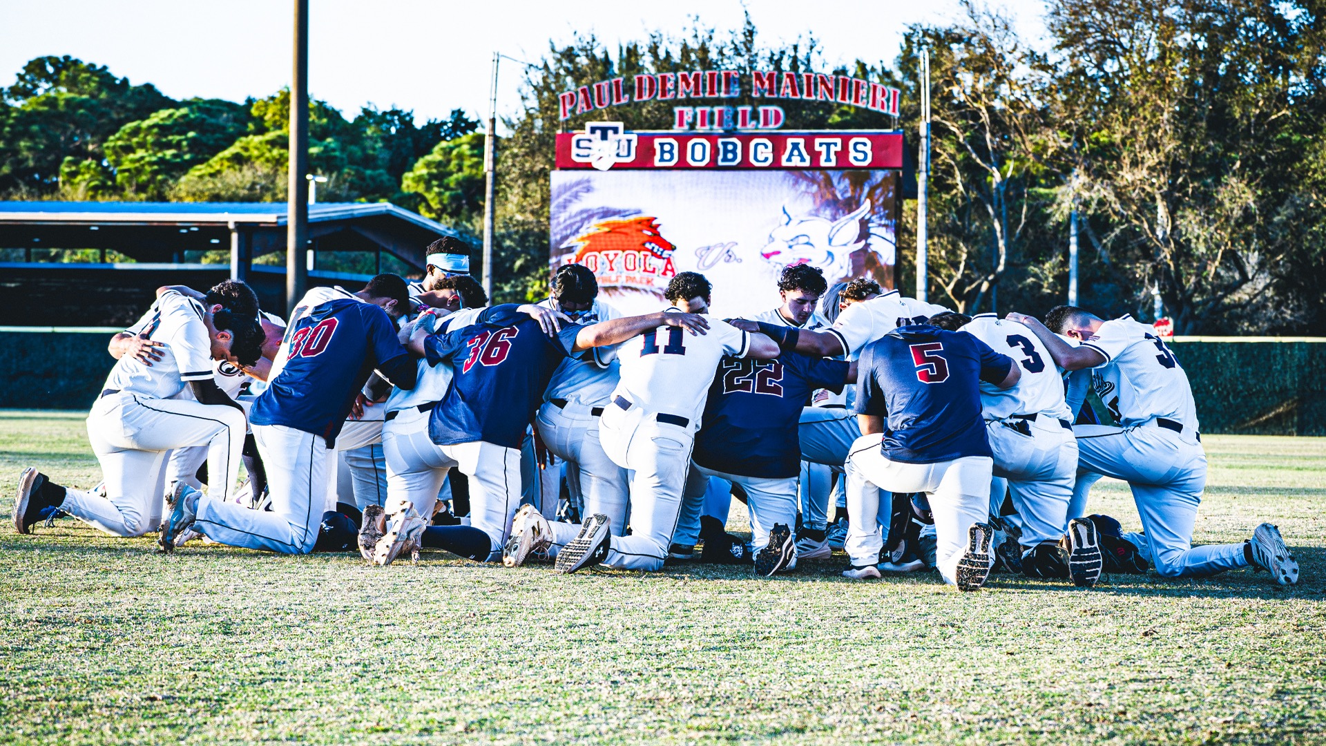 Base vs Concordia Prev