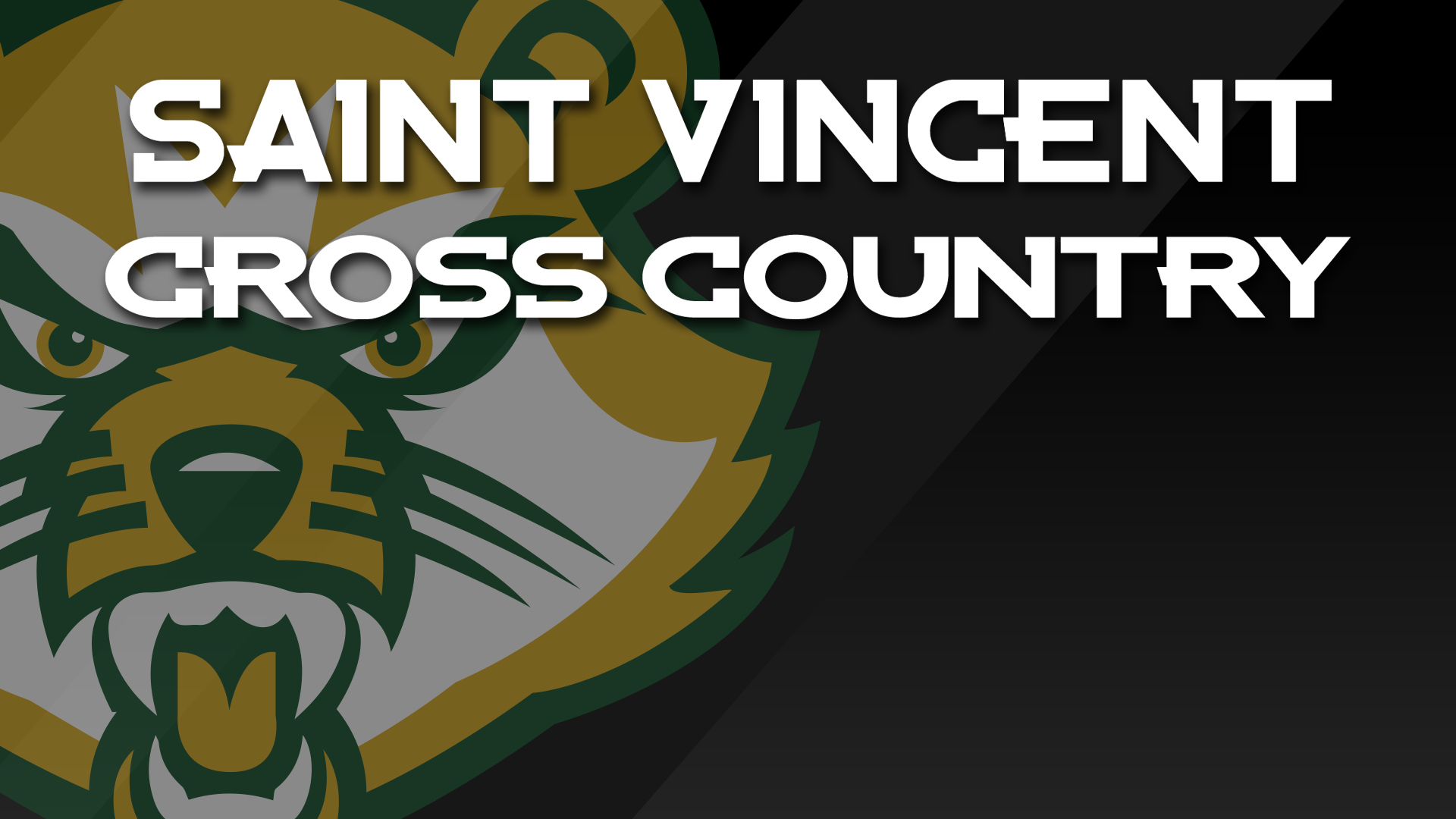 Saint Vincent Cross Country
