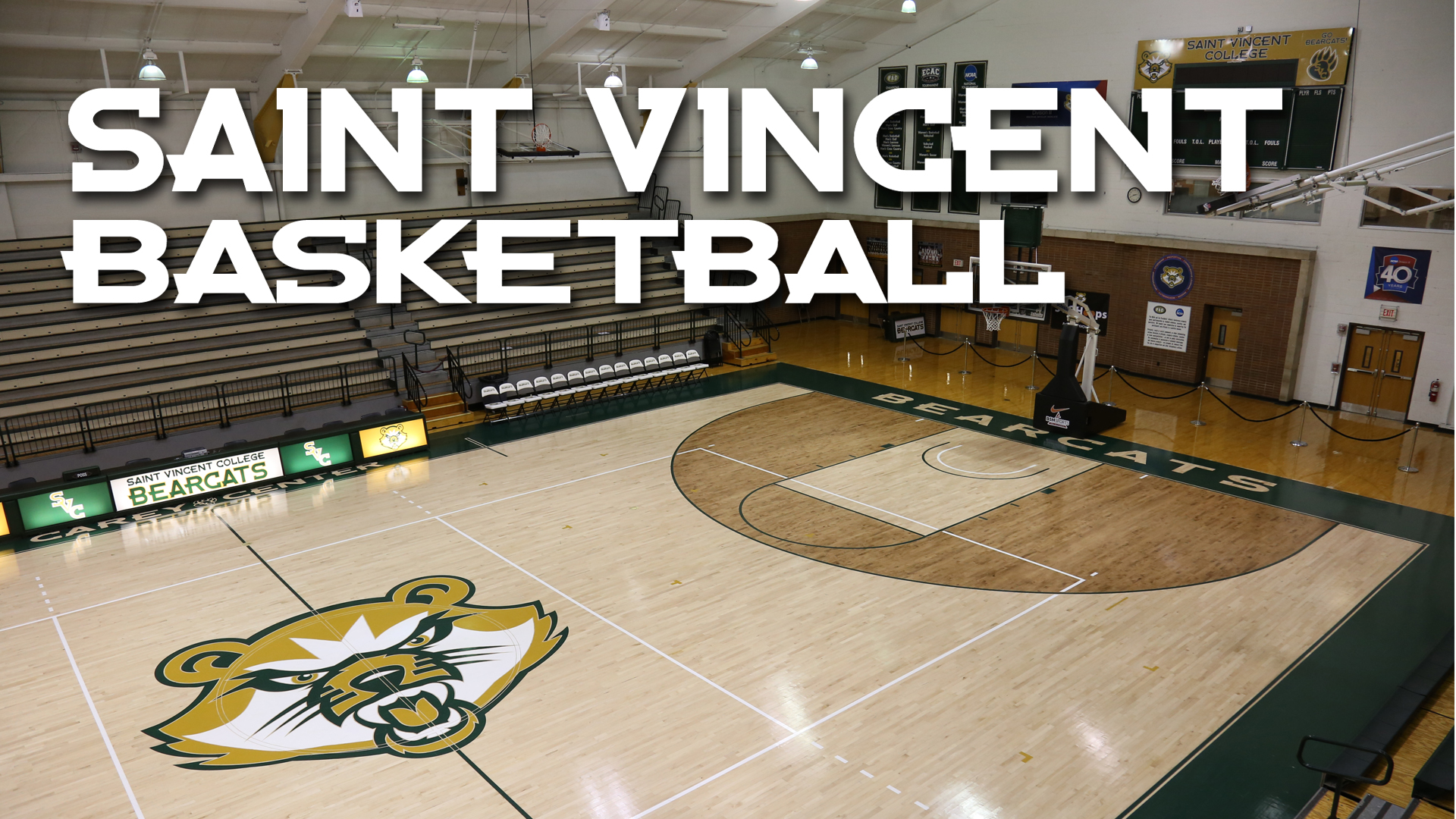 Bearpaw_Basketball Court