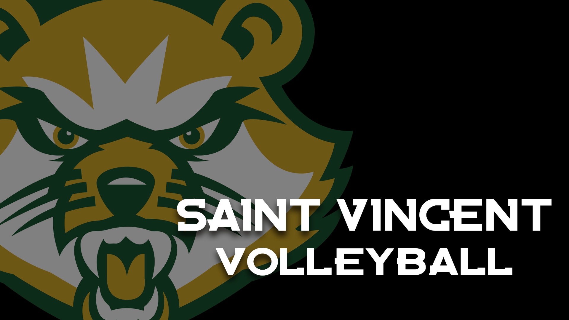 Bearpaw Volleyball 23