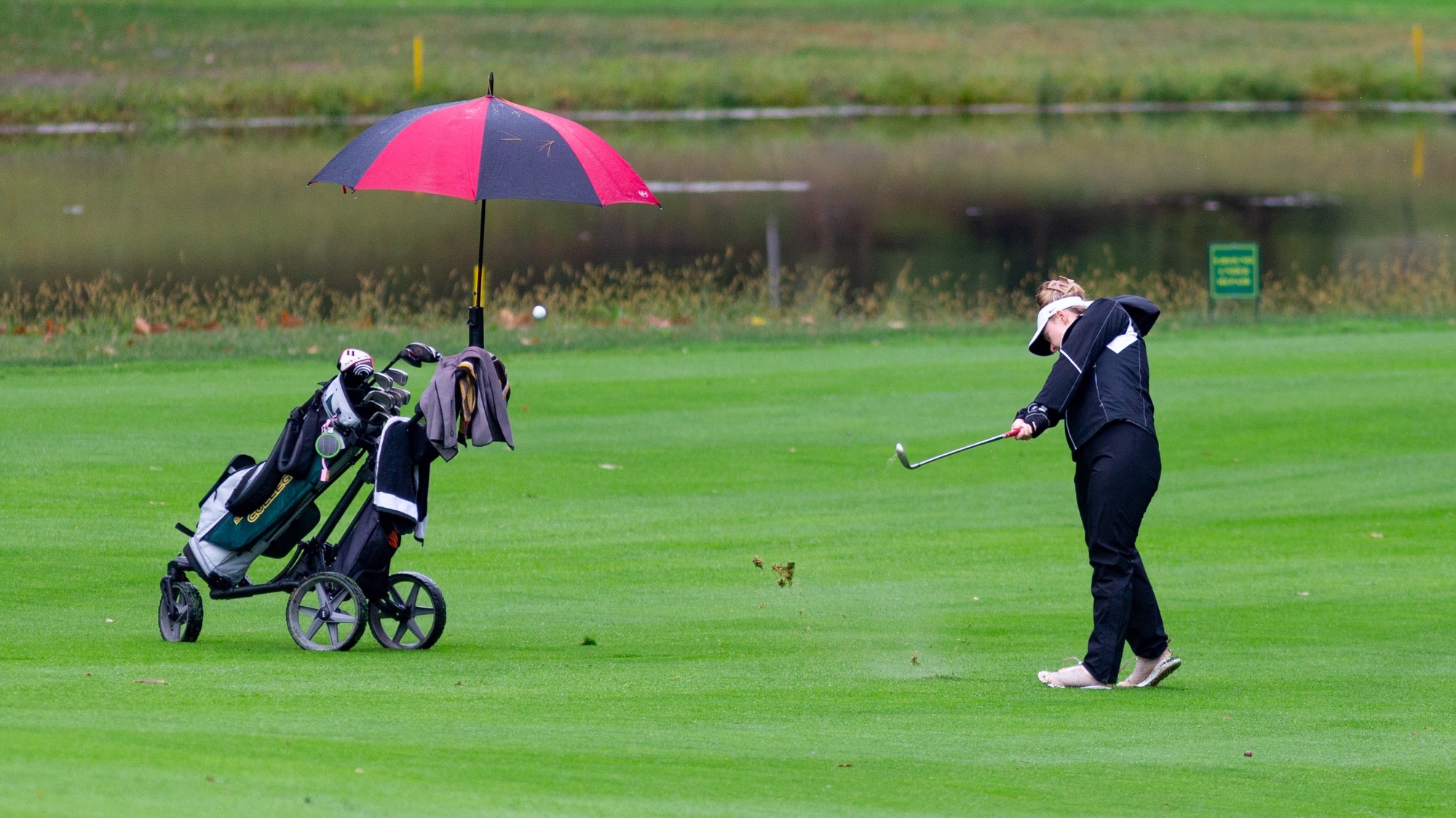 Brayton_WGOLF