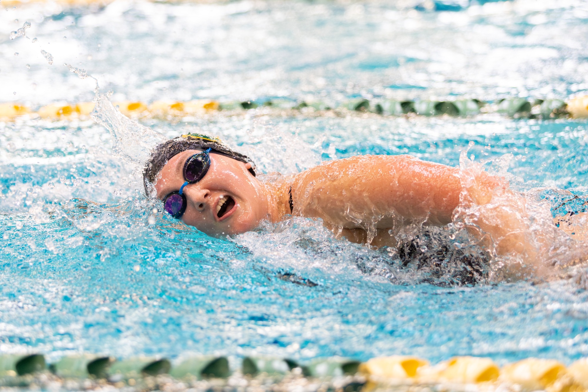 Men's and Women's Swimming vs. Westminster Saturday, January 31, 2026 photo gallery by Julie Watkins.