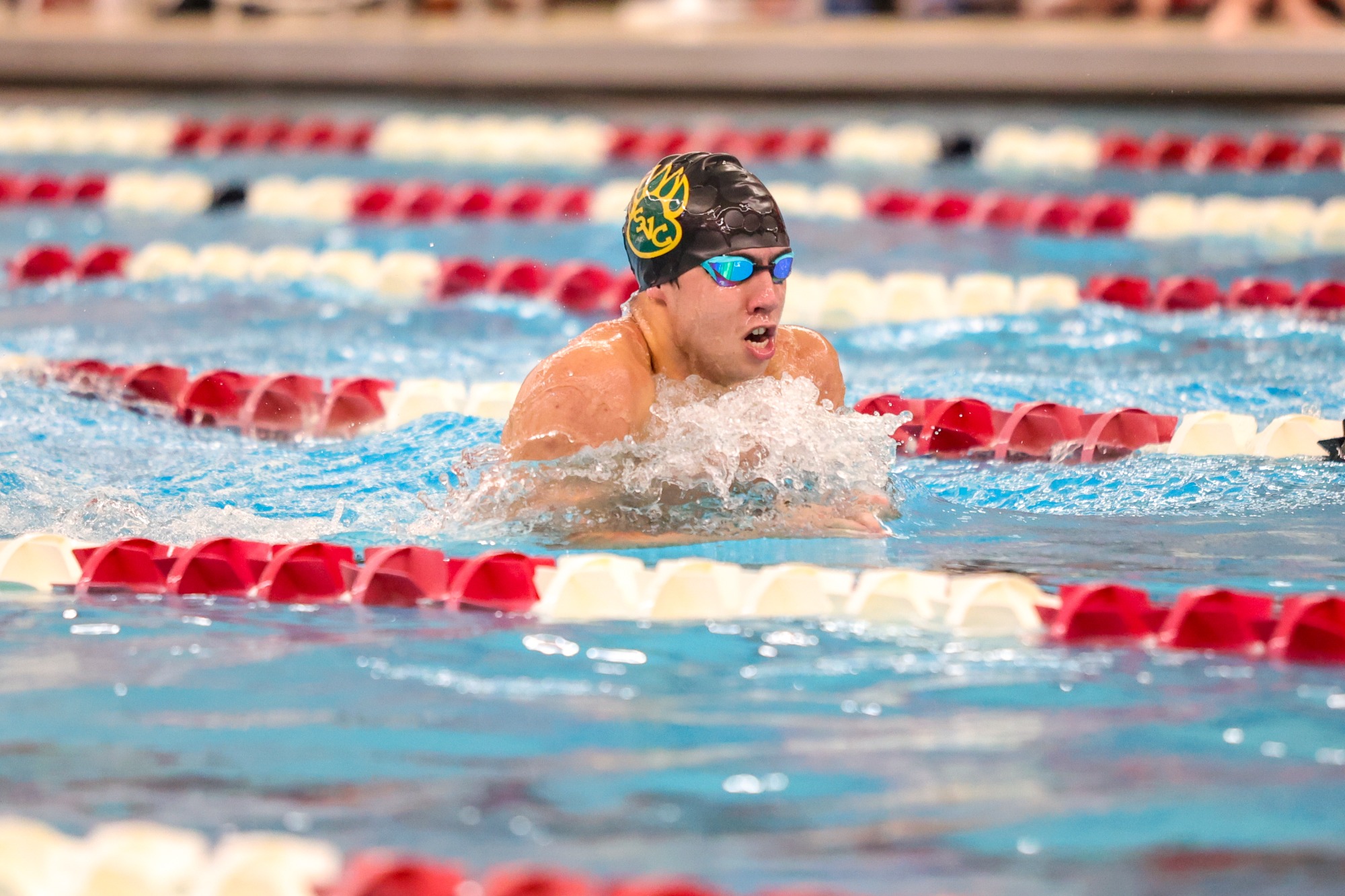 Men's and women's swimming at PAC Championship, Thursday, February 19, 2026 photo gallery by Julie Watkins.
