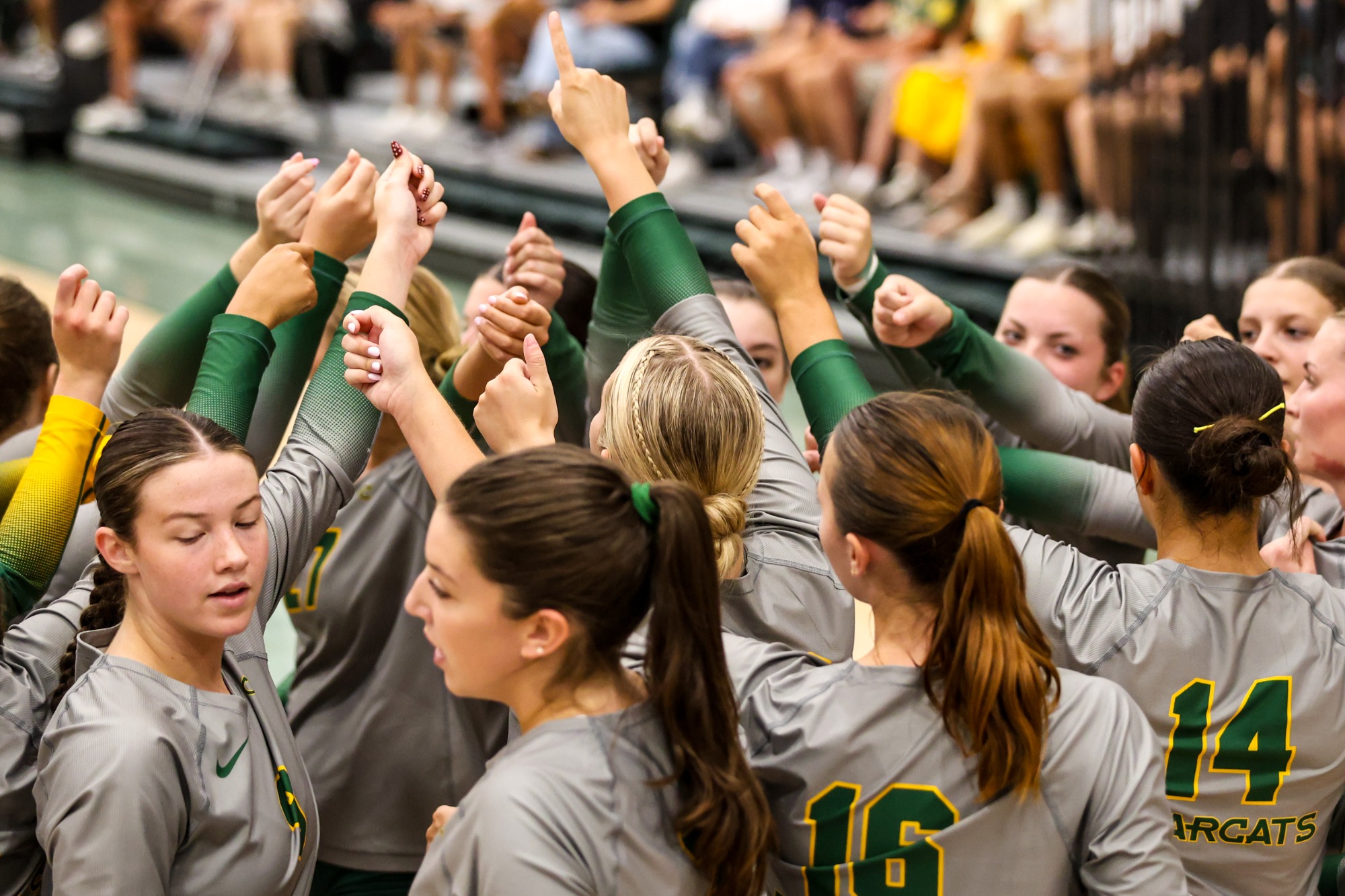 Women's volleyball vs. Wooster, Saturday, September 5, 2026 photo gallery by Julie Watkins.