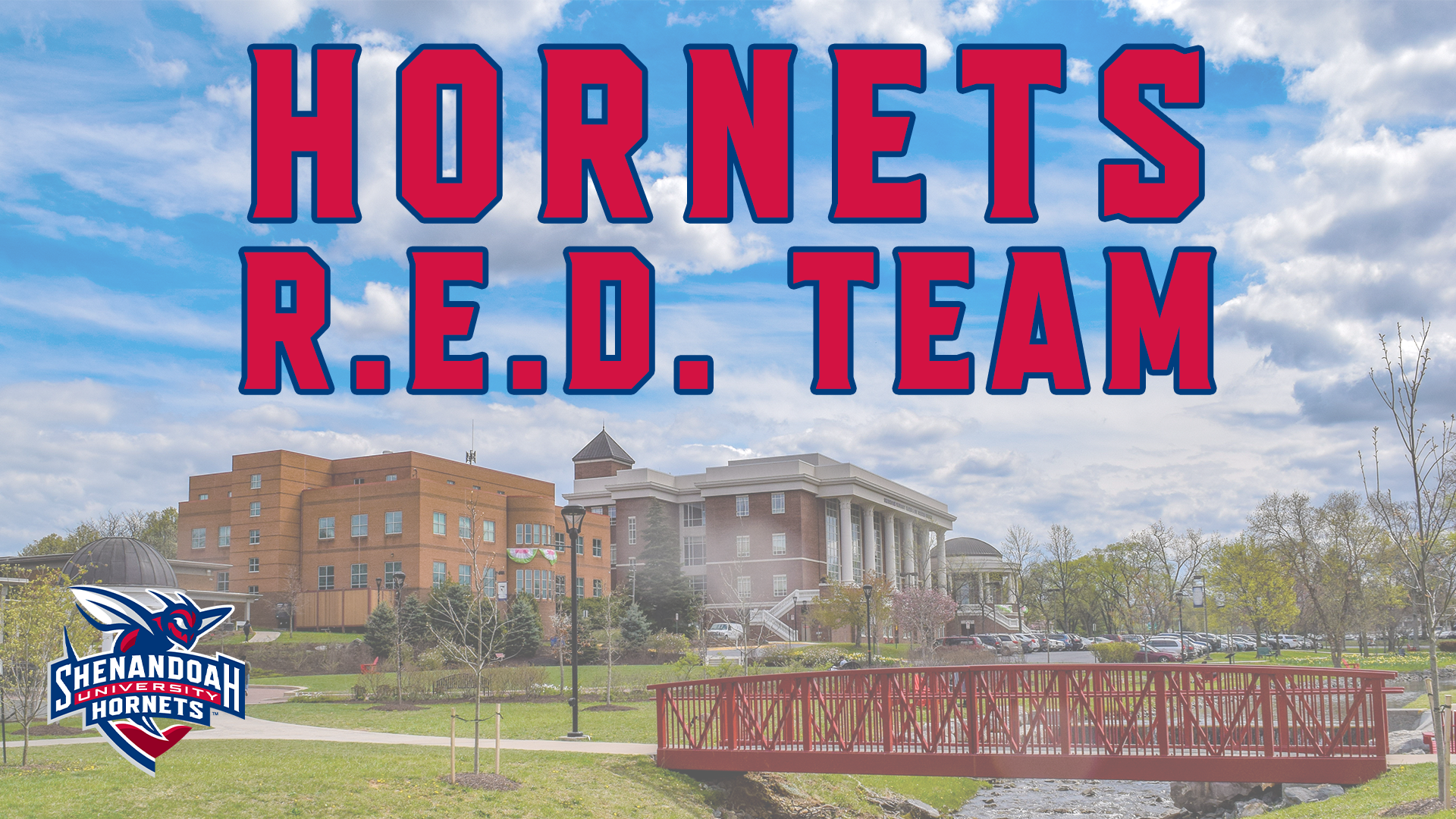 Hornets RED Team Graphic
