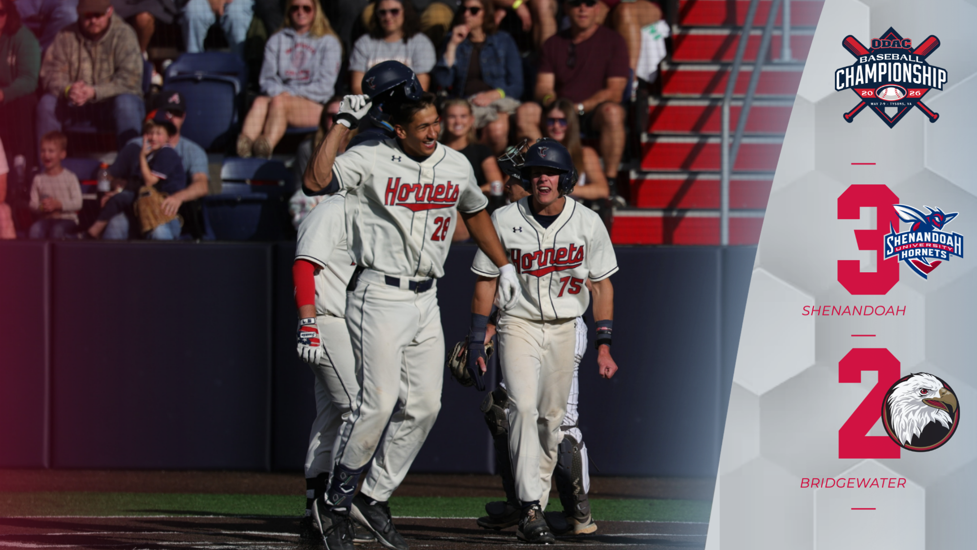 Baseball vs Bridgewater ODAC Finals Series