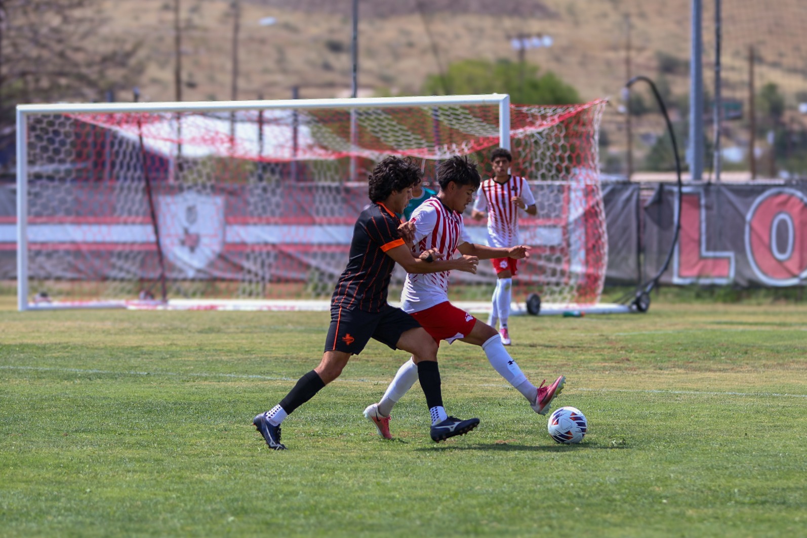 26 MSOC player