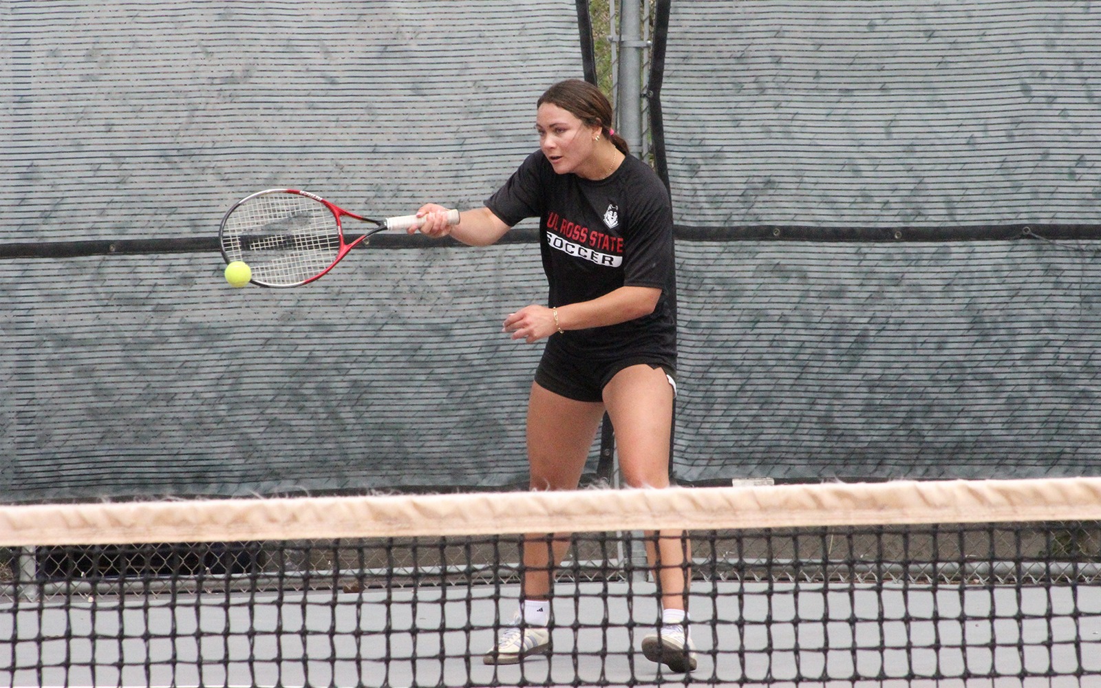 WTEN Kelsey Wallace