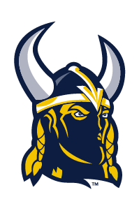 Viking Head Color 
