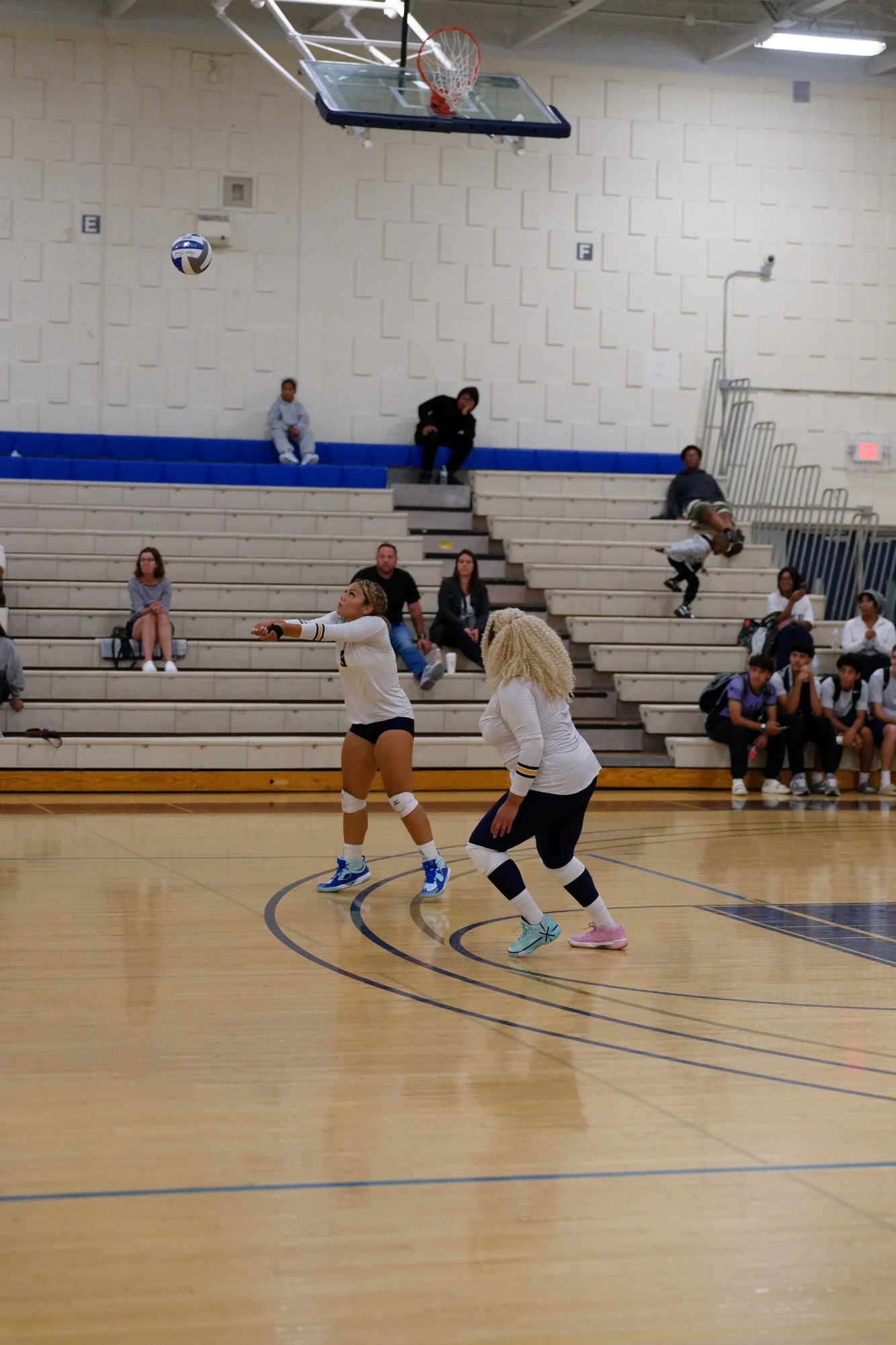 WVB