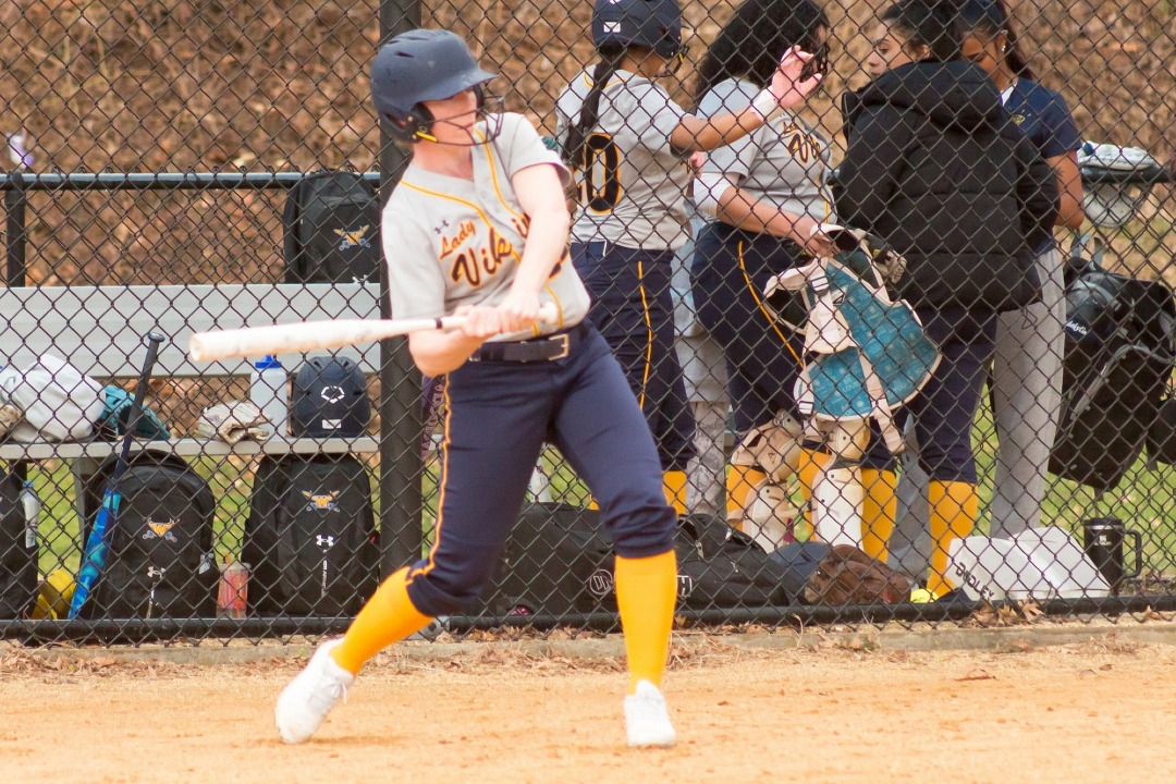 Meaghan Collins At Bat vs Dutchess