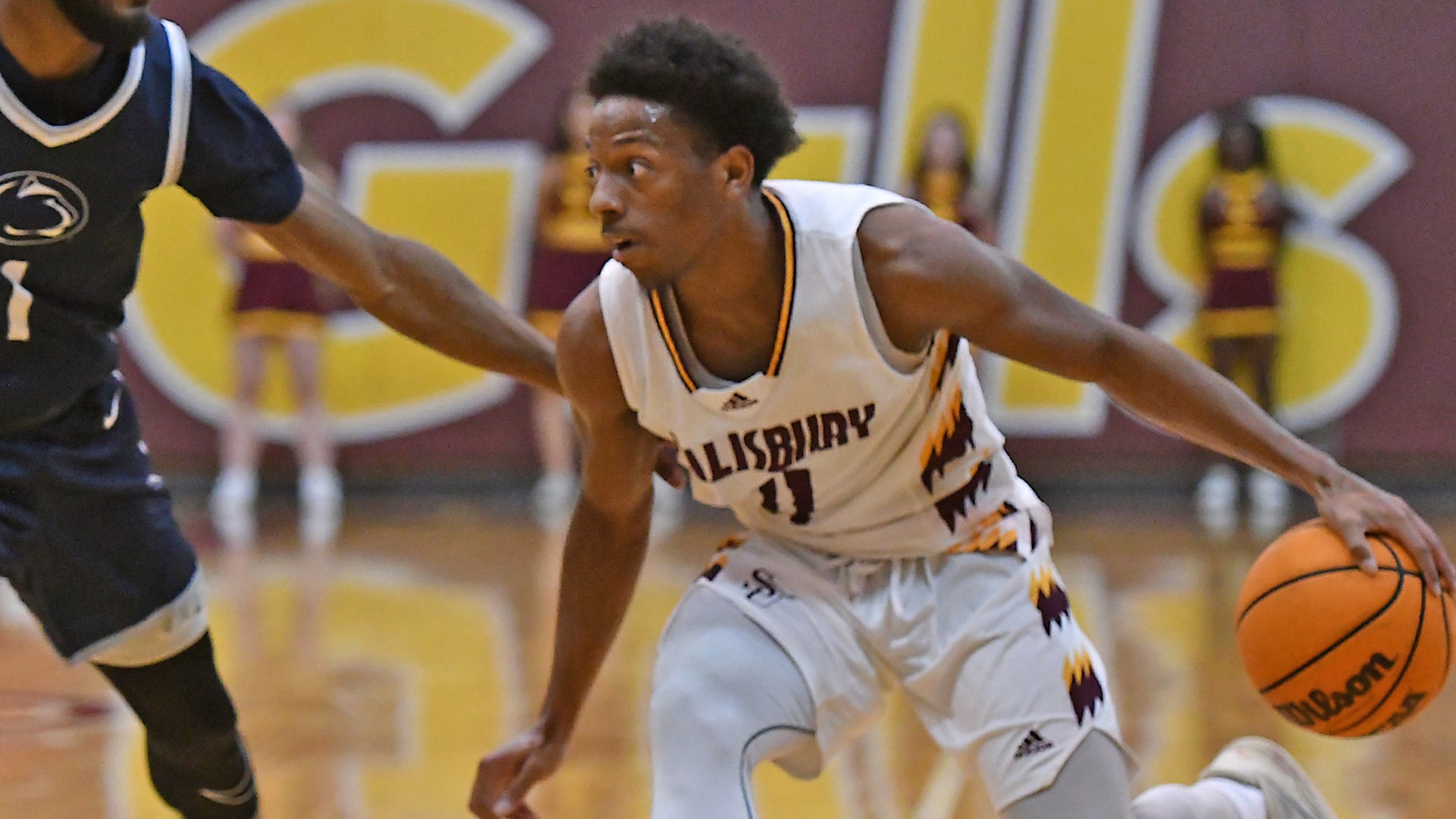 Greg Bloodsworth 202223 Men's Basketball Salisbury University