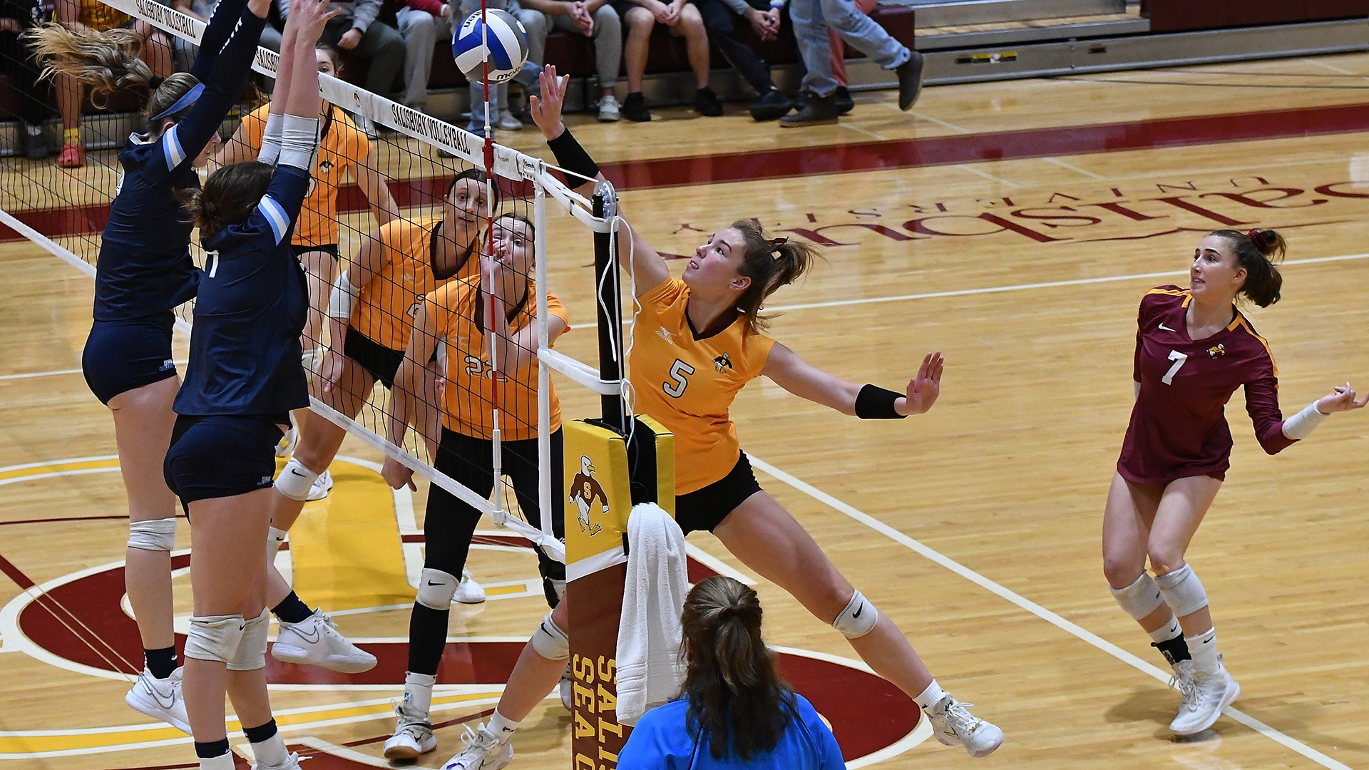 Jackie Mitchell 2023 Women's Volleyball Salisbury University