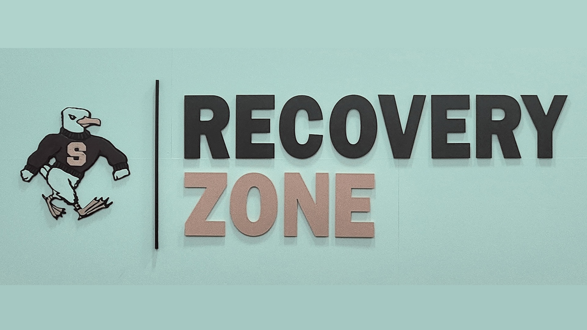 Recovery Room Wall Banner Image
