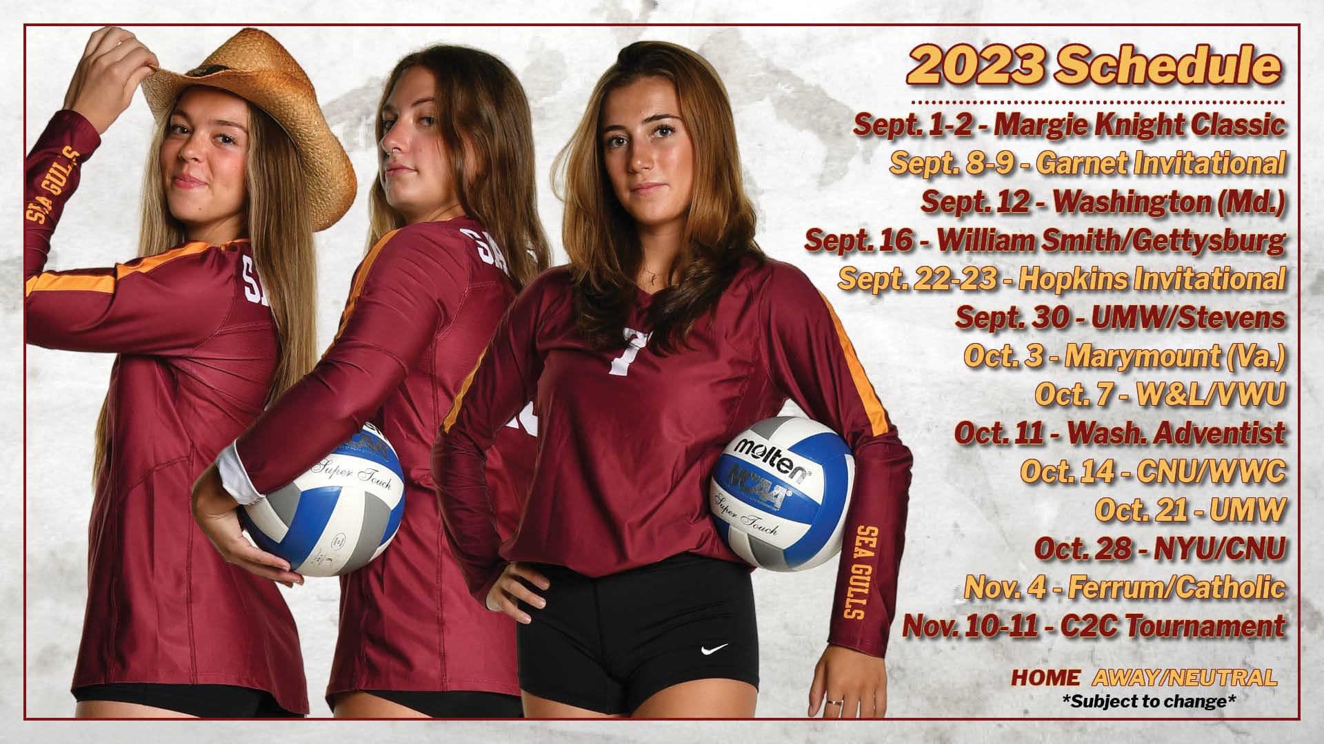 Volleyball reveals 2023 schedule Salisbury University
