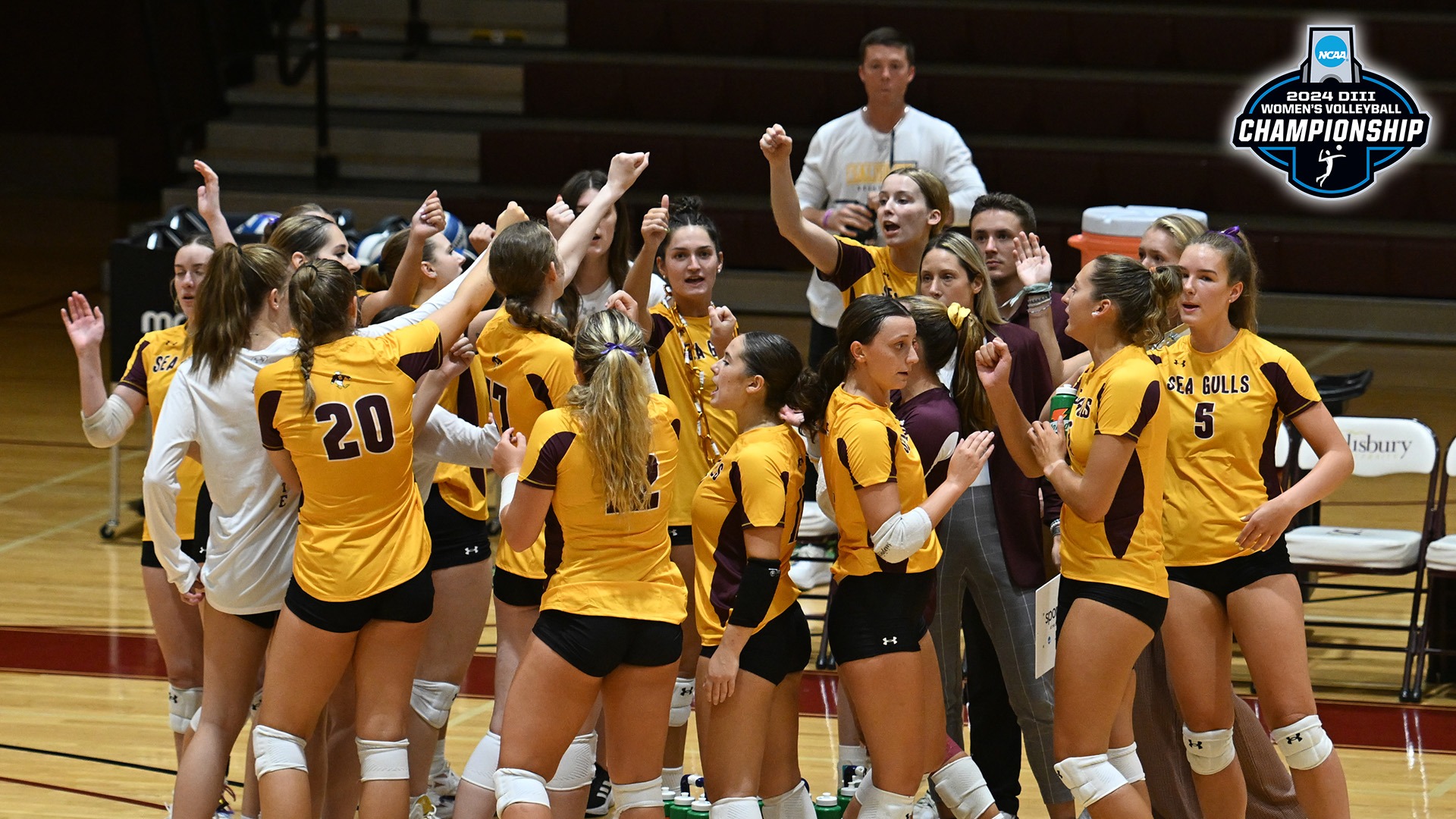 VB 2024 NCAA Tournament Preview banner