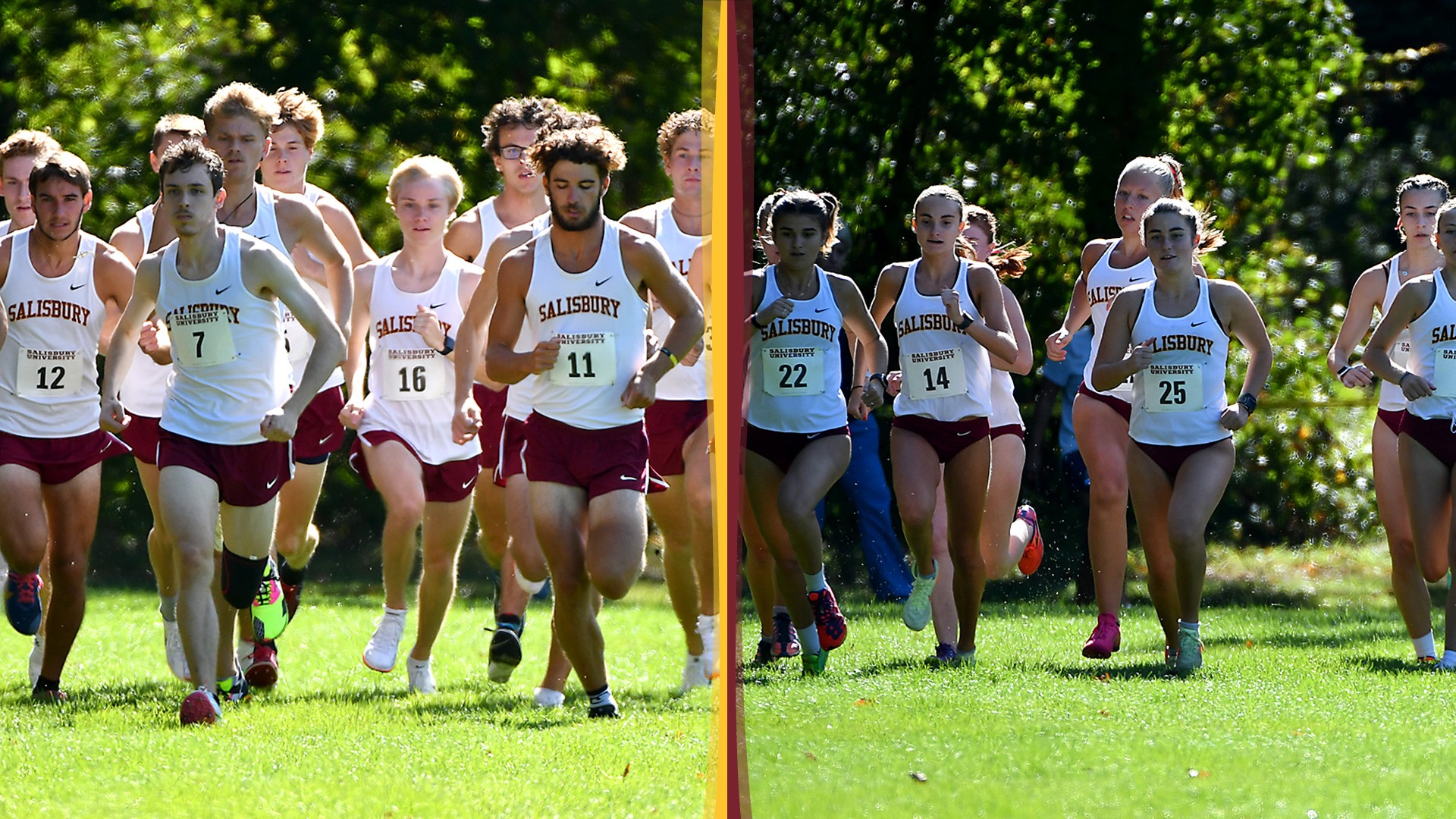 XC Season Preview 2024 banner