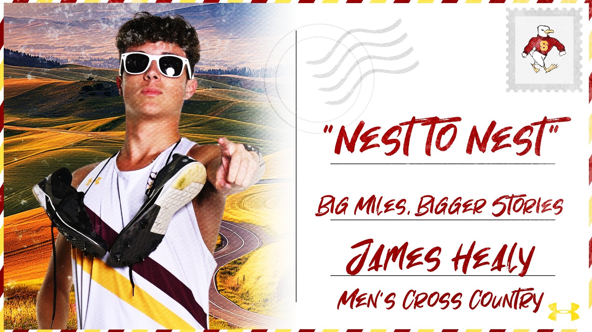 Nest to Nest - James Healy