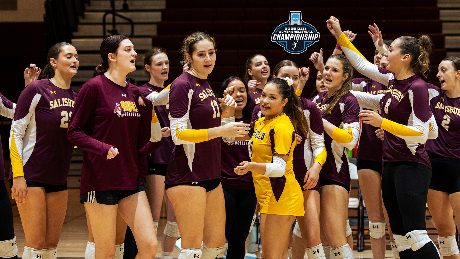 2025 NCAA Volleyball Tournament preview banner