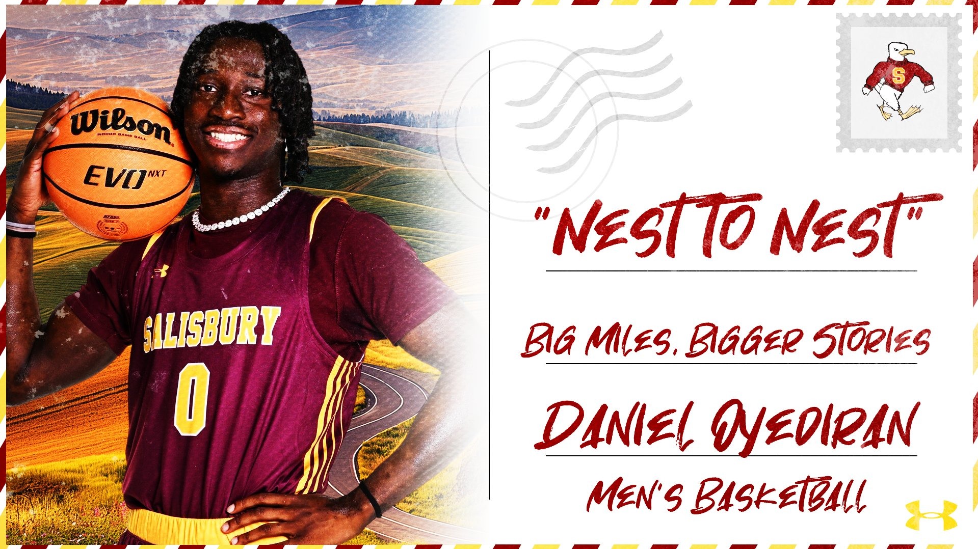 Nest to Nest - Daniel Oyediran