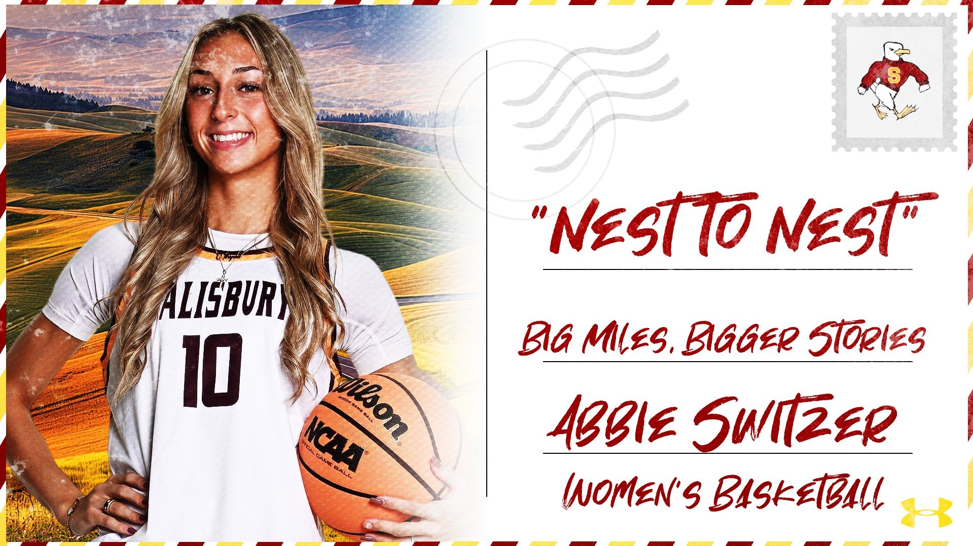 Nest to Nest - Abbie Switzer