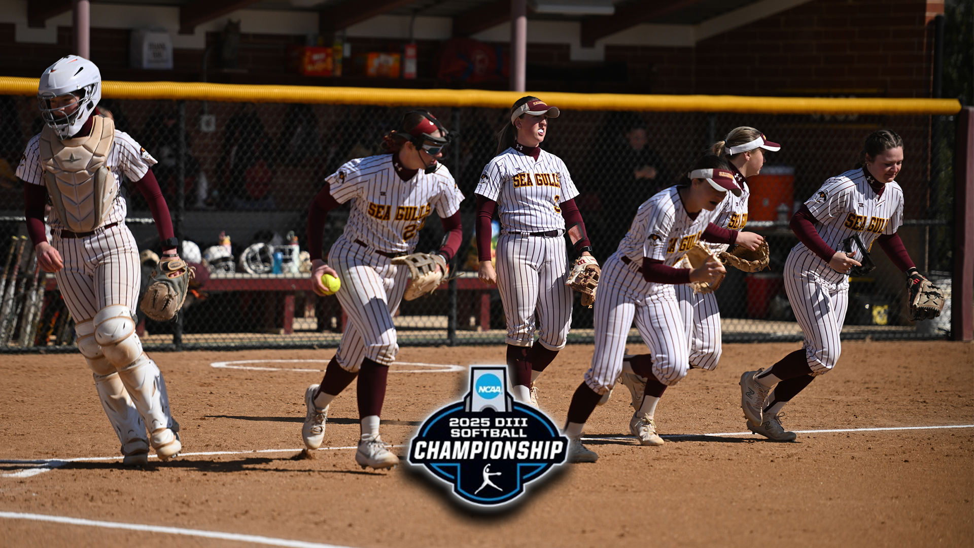 Softball 2025 NCAA Regional Preview