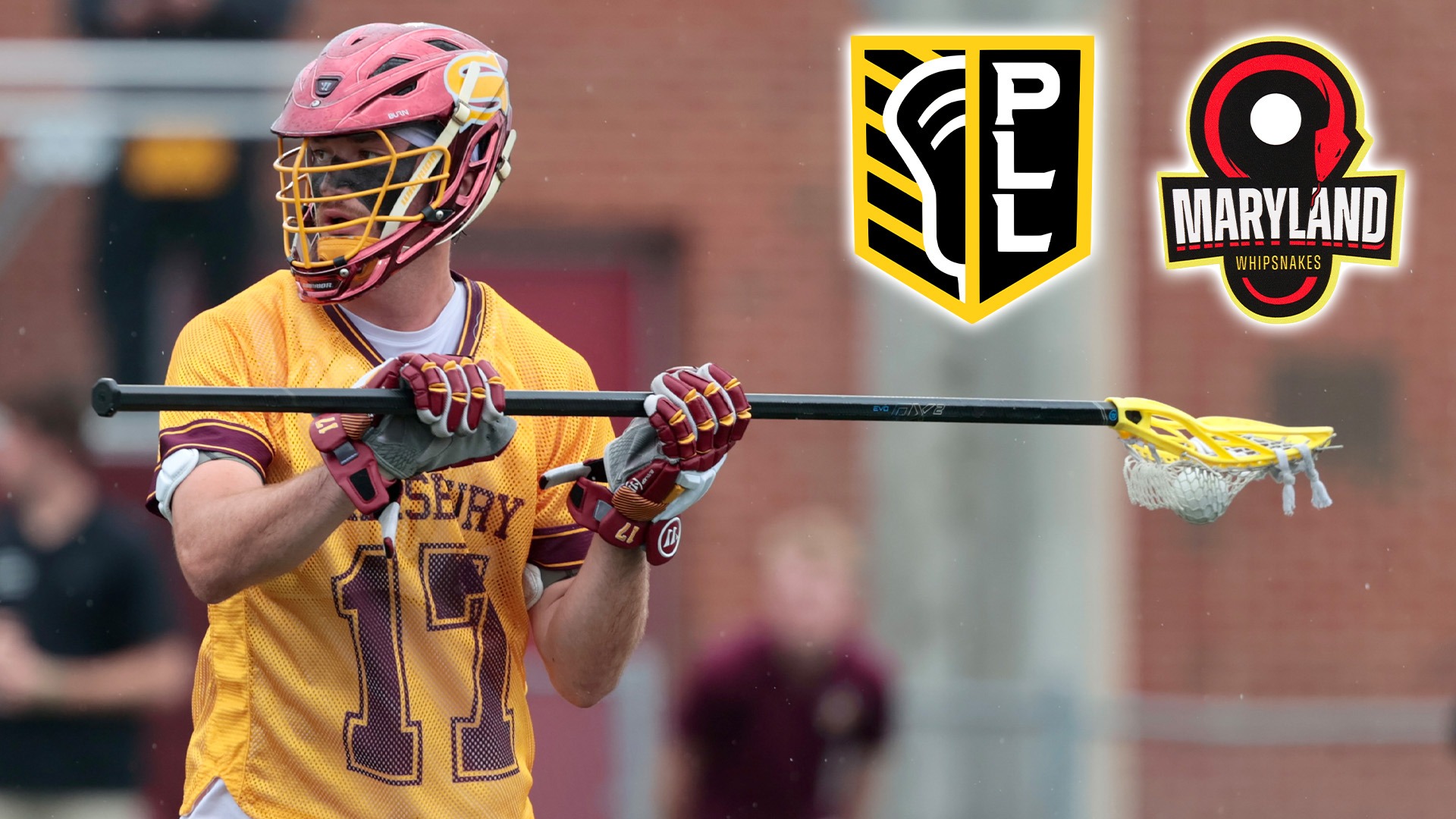 John DeFazio PLL/Whipsnakes Banner