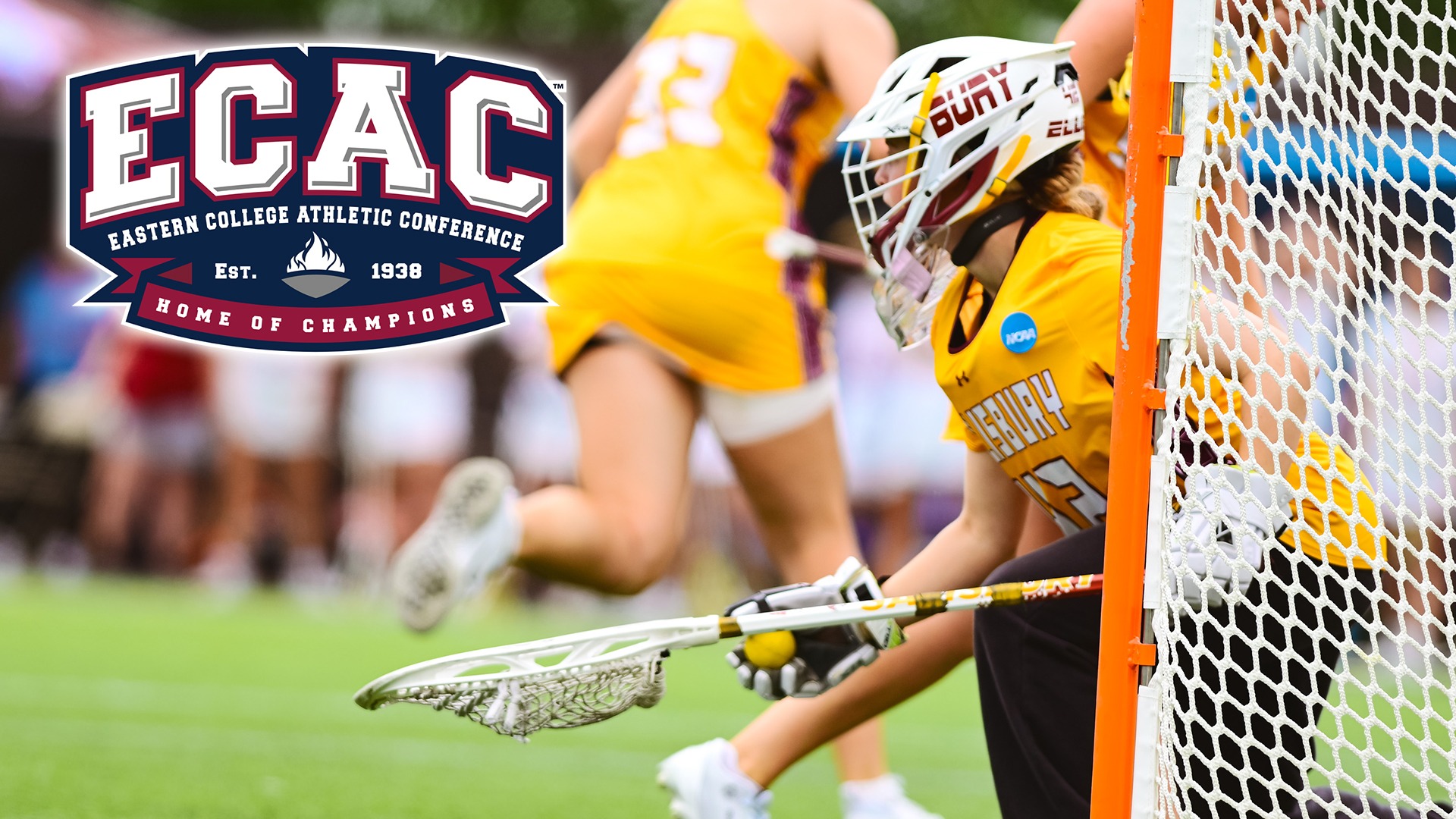 2025 Ellis ECAC Banner