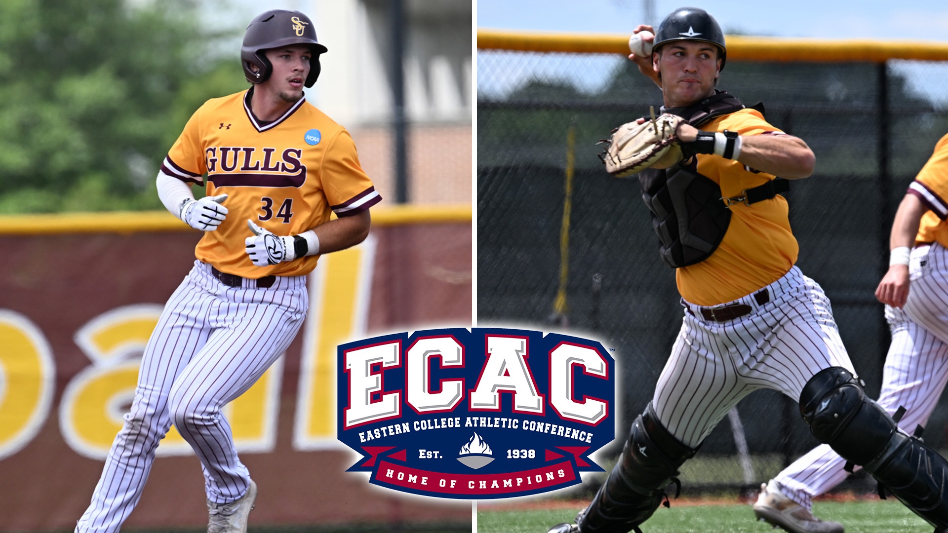 2025 Baseball ECAC Awards