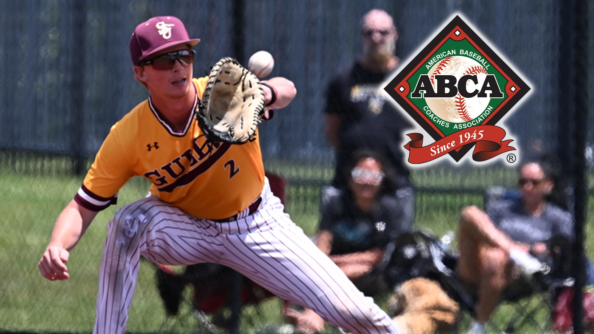 Sheeler ABCA All-Defense Banner