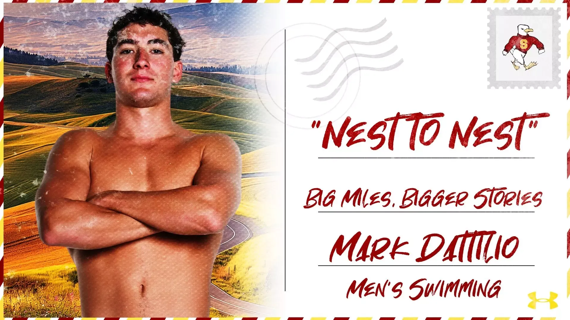 Nest to Nest - Mark Dattilio