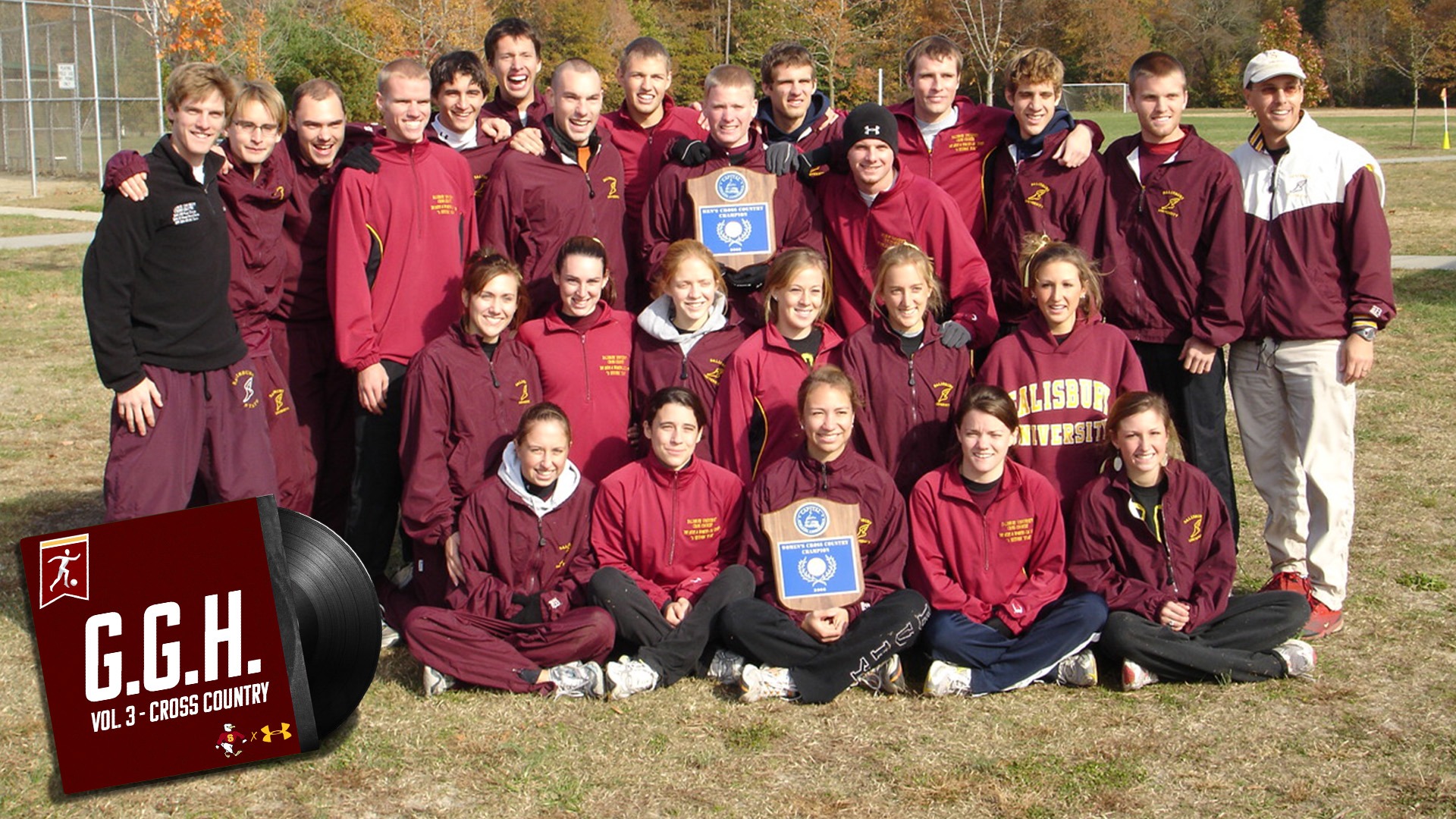 Gulls Greatest Hits banner XC