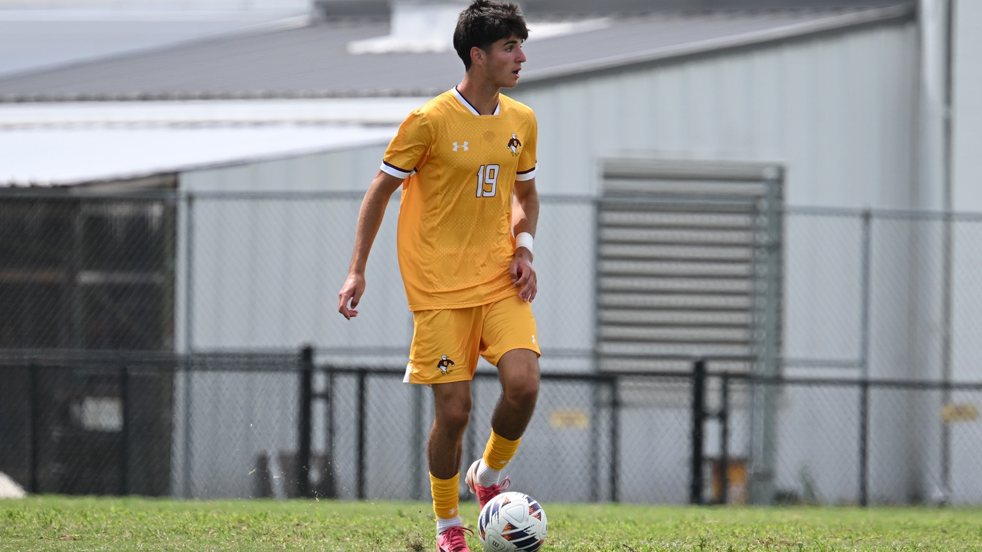 Harry Vasilios 10.3 