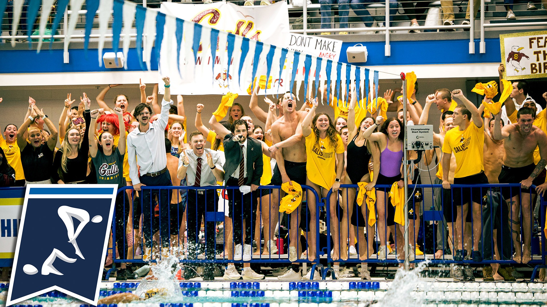 Swimming NCAA Qualifiers 2026 banner