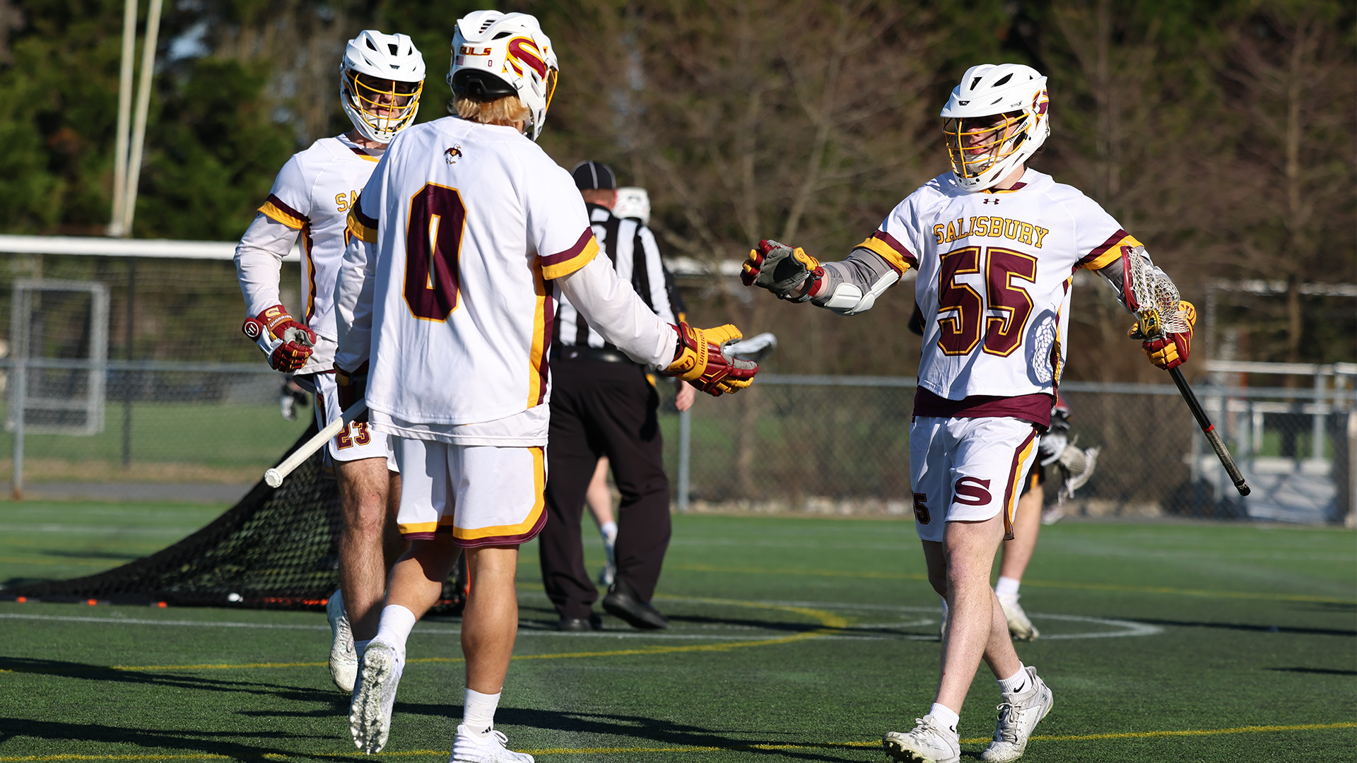 Strub and Hicks 3.18