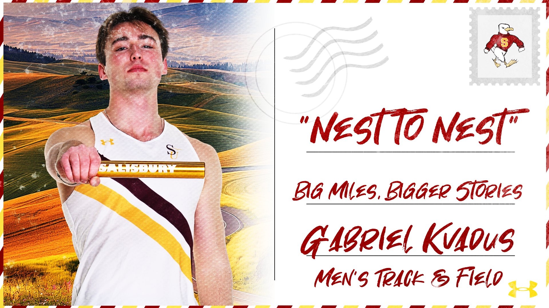 Nest to Nest - Gabriel Kvadus