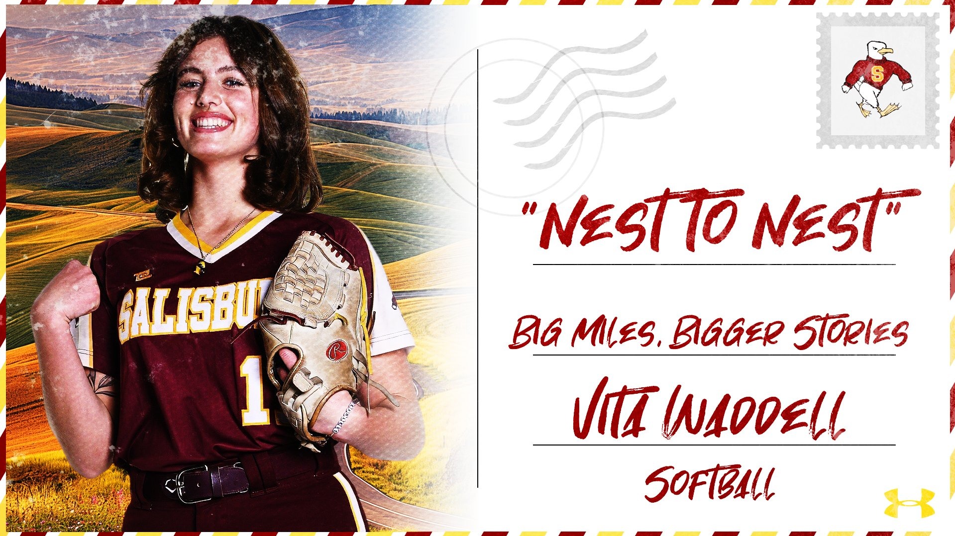 Nest to Nest - Vita Waddell