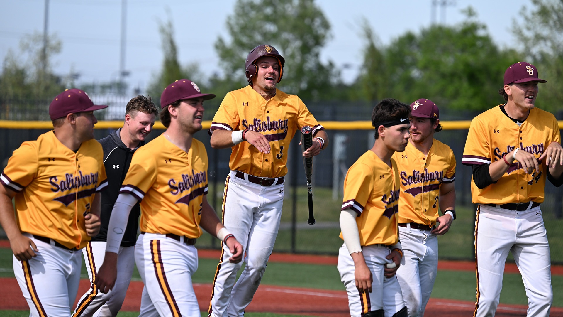 Salisbury Baseball Celebration, 4-18-26